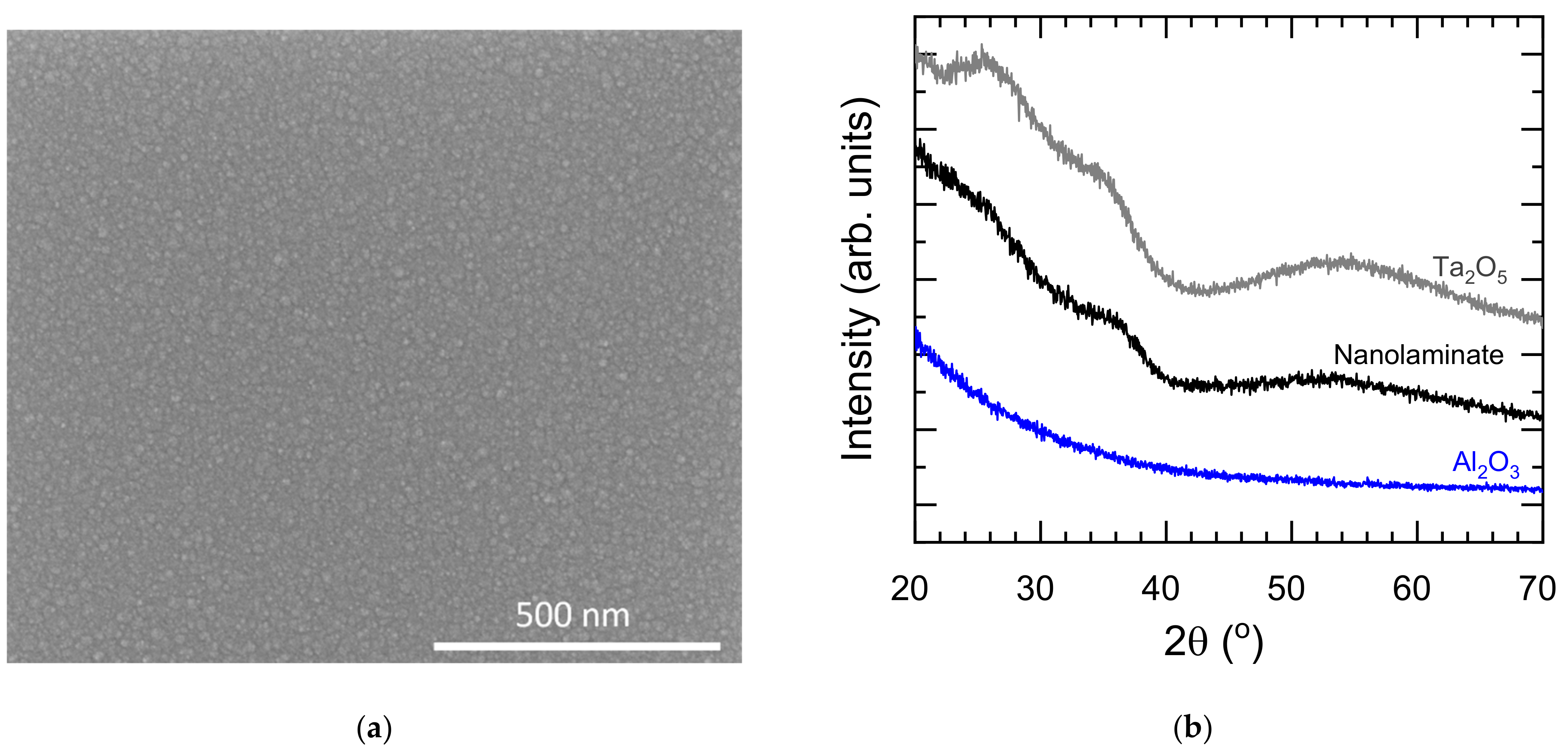 Coatings 12 00404 g003 550