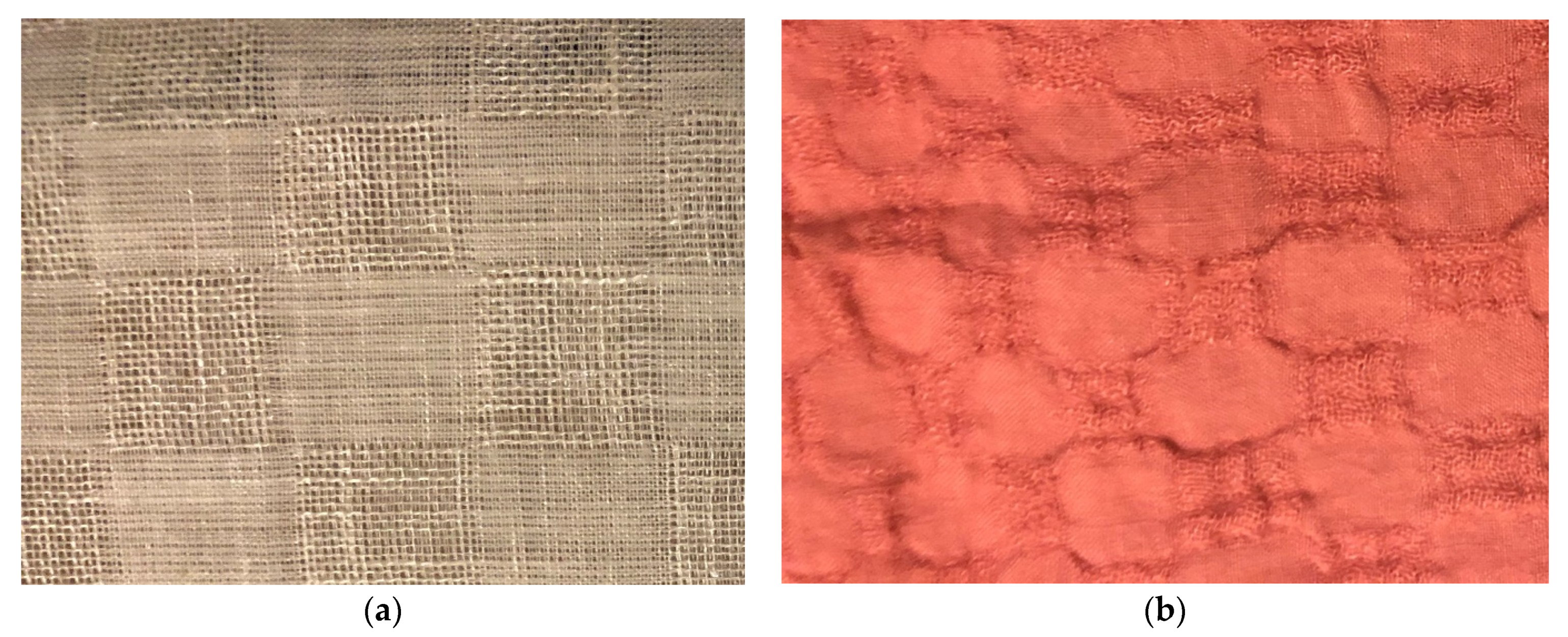 Coatings 12 00408 g001