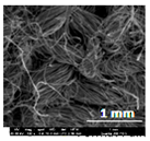 Coatings 12 00408 i002