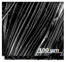 Coatings 12 00408 i011