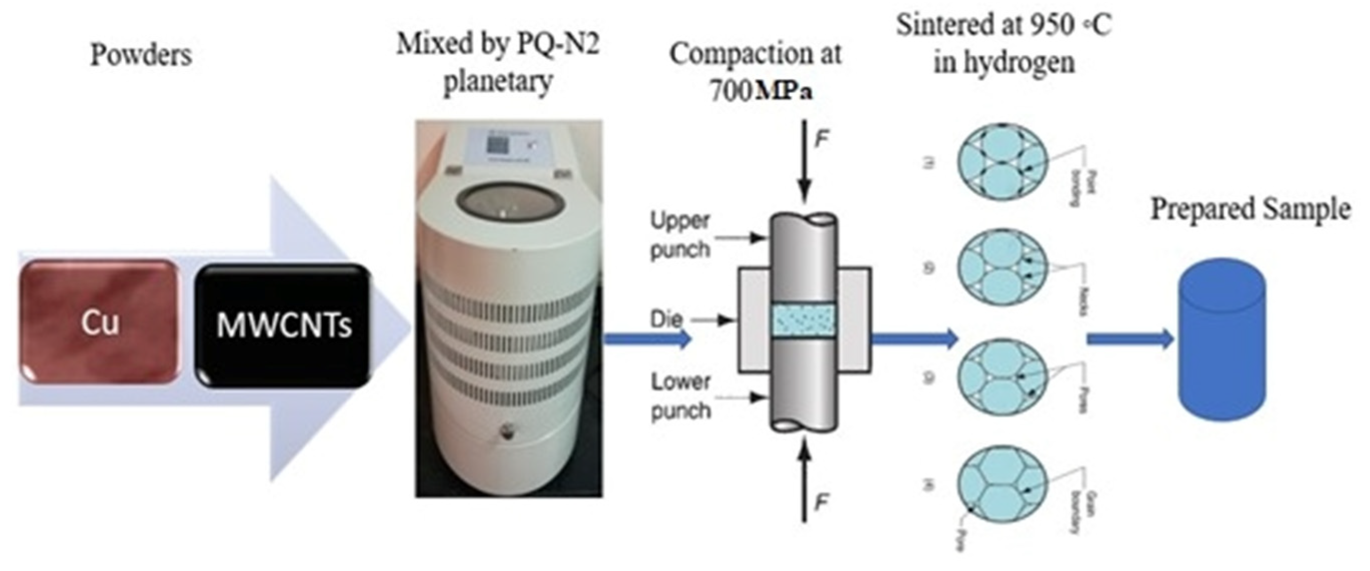 Coatings 12 00409 g002 550