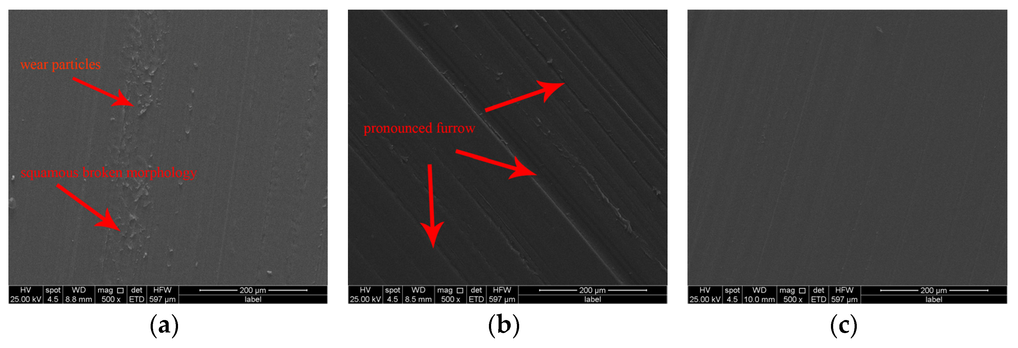 Coatings 12 00411 g005