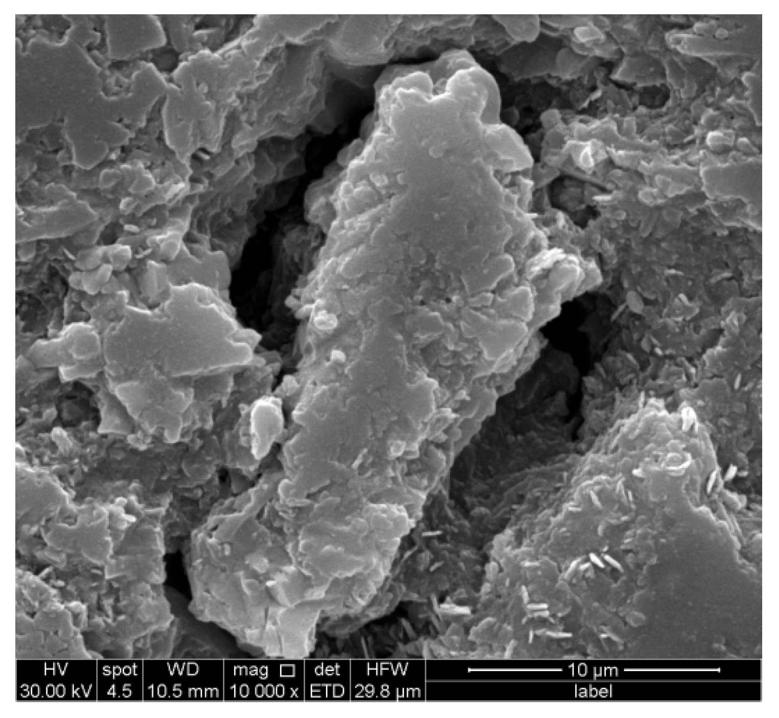 Coatings 12 00411 g009