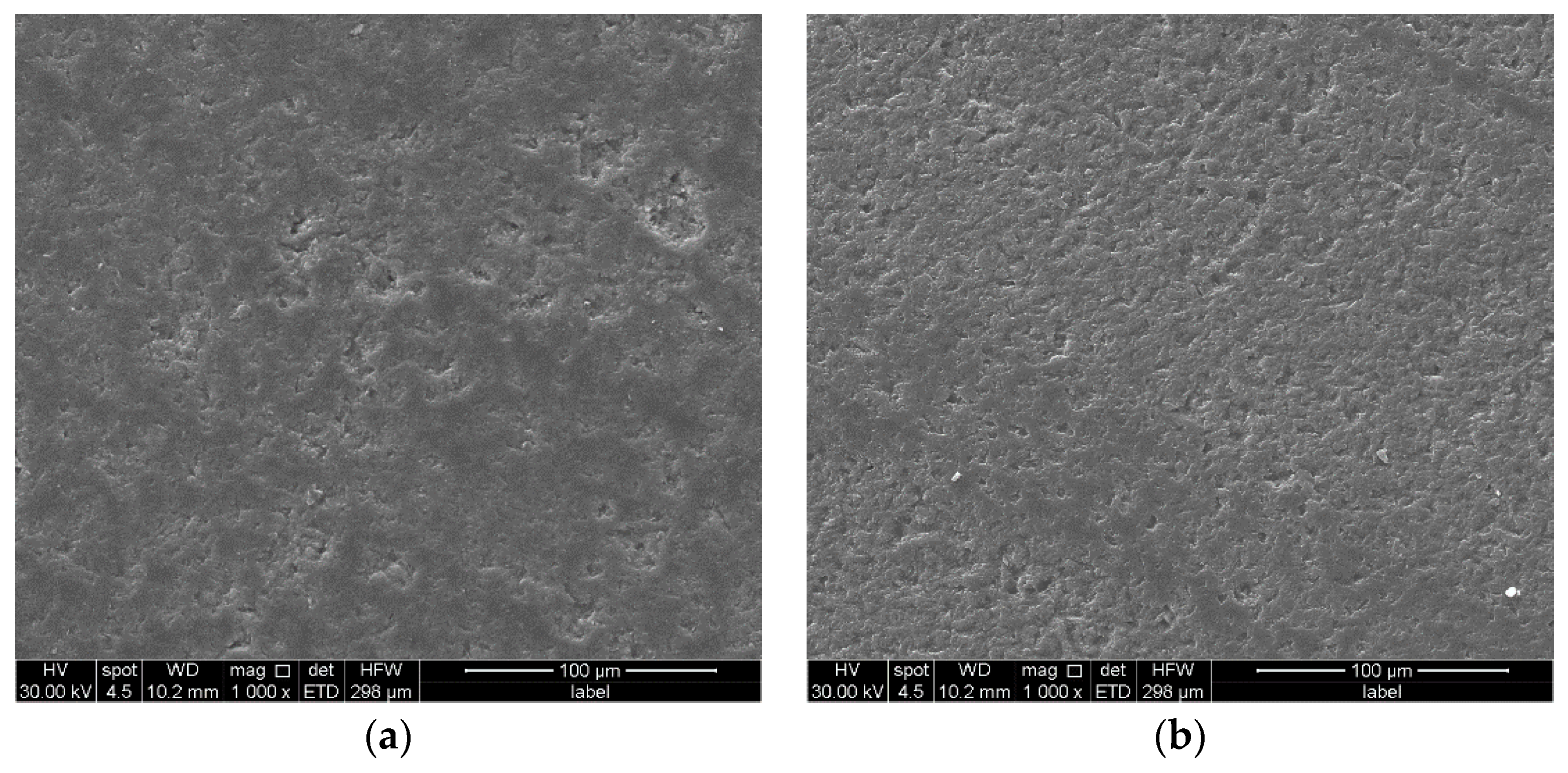 Coatings 12 00411 g012