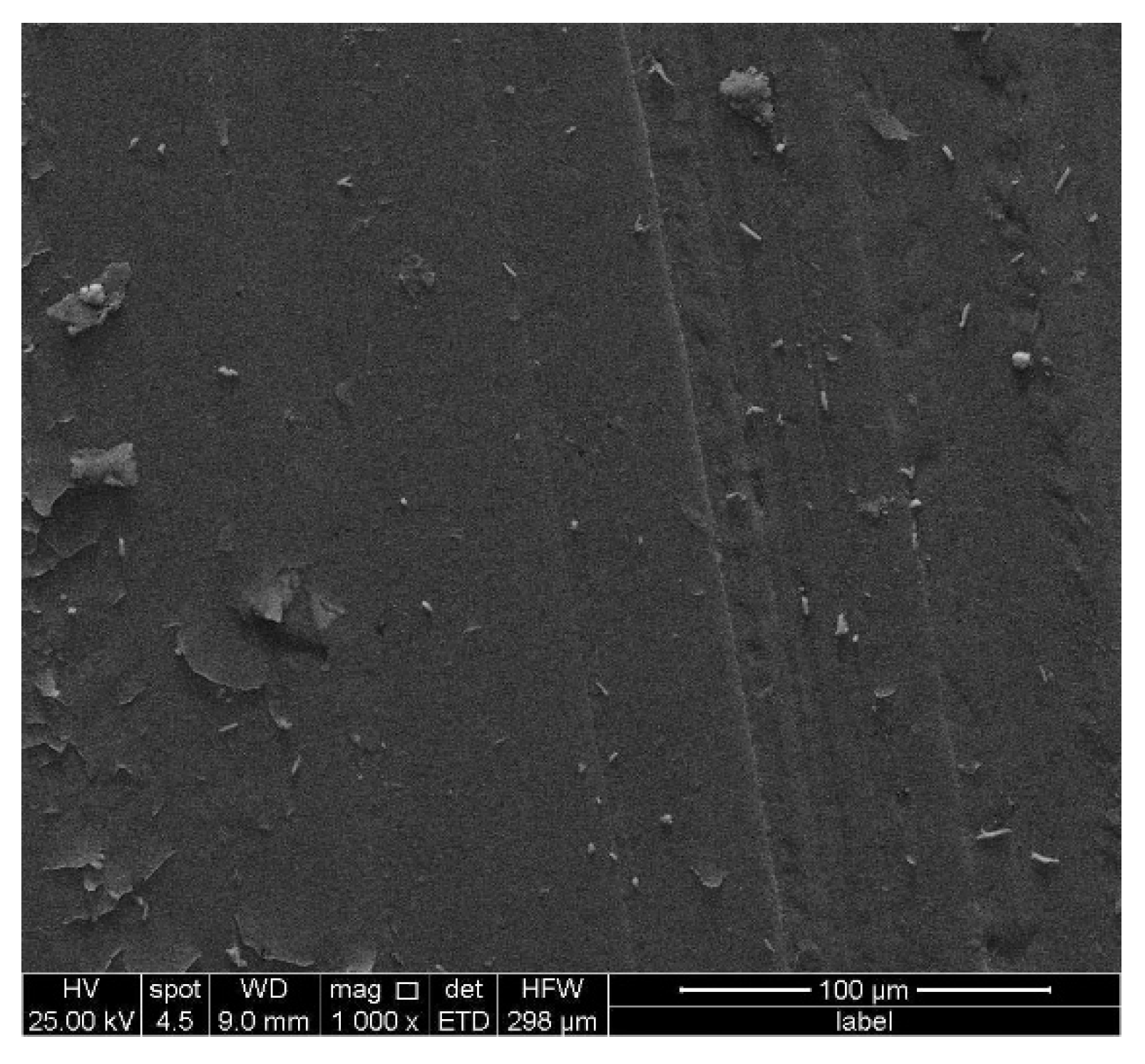 Coatings 12 00411 g013