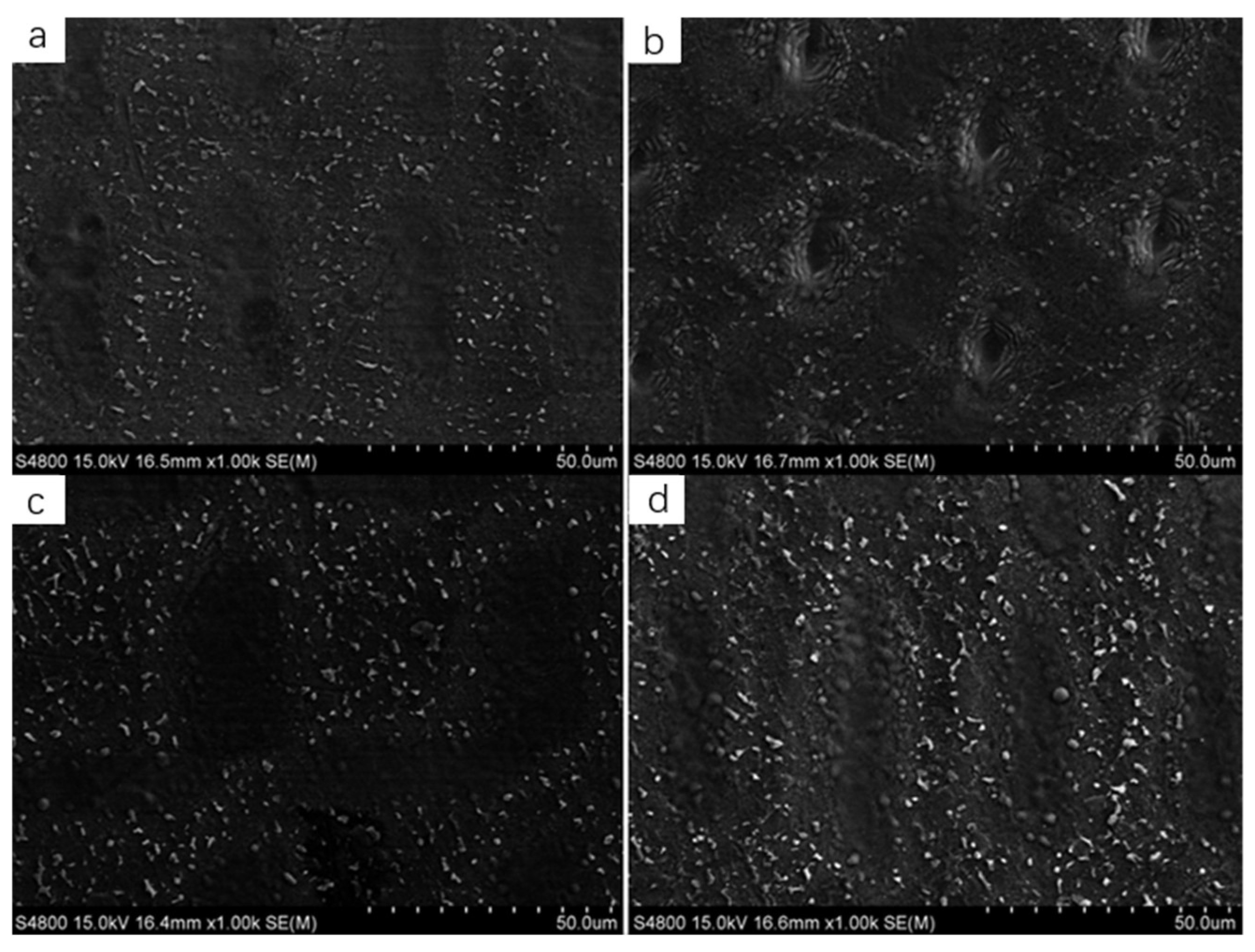 Coatings 12 00414 g001