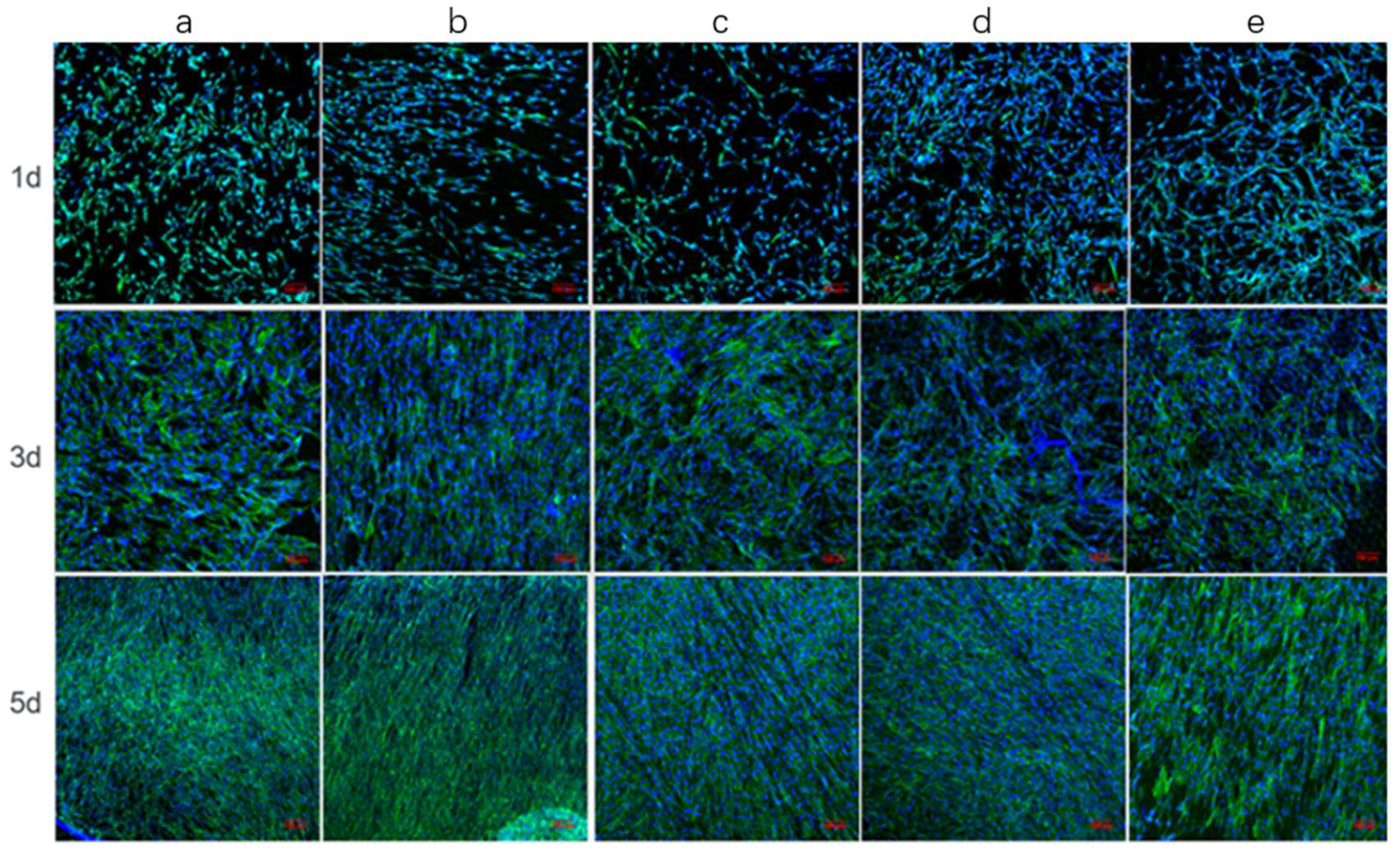 Coatings 12 00414 g009