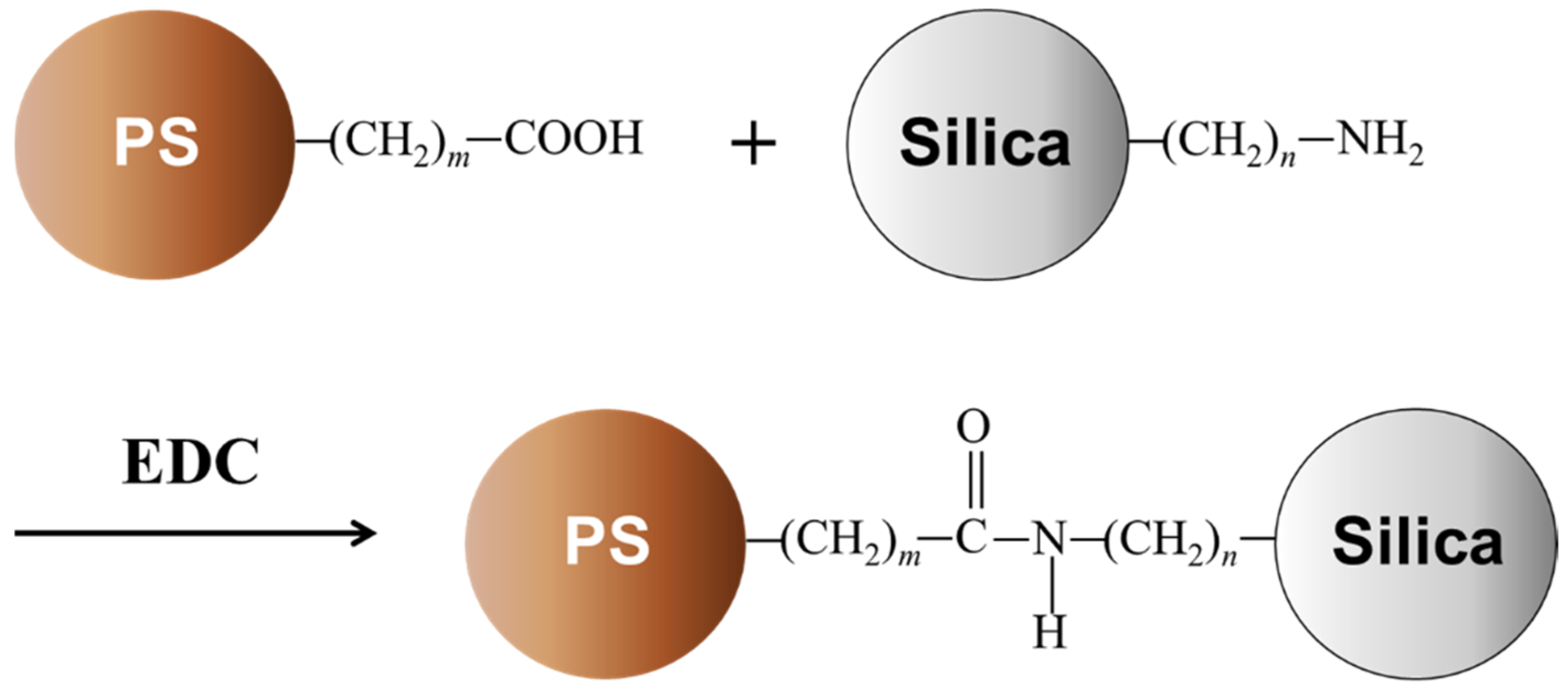 Coatings 12 00415 g001 550