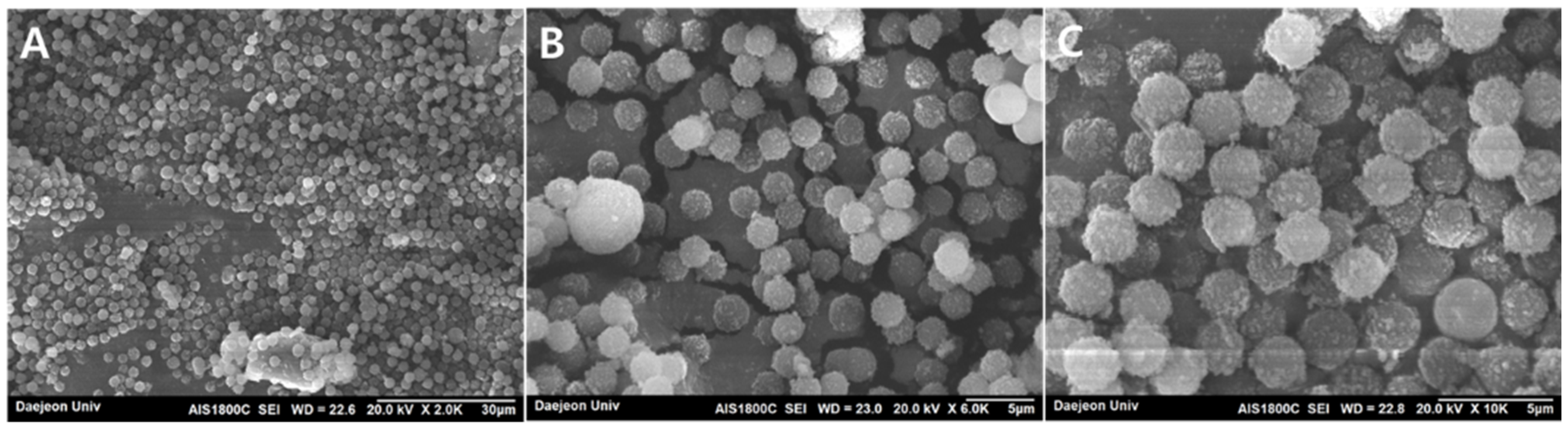 Coatings 12 00415 g003 550