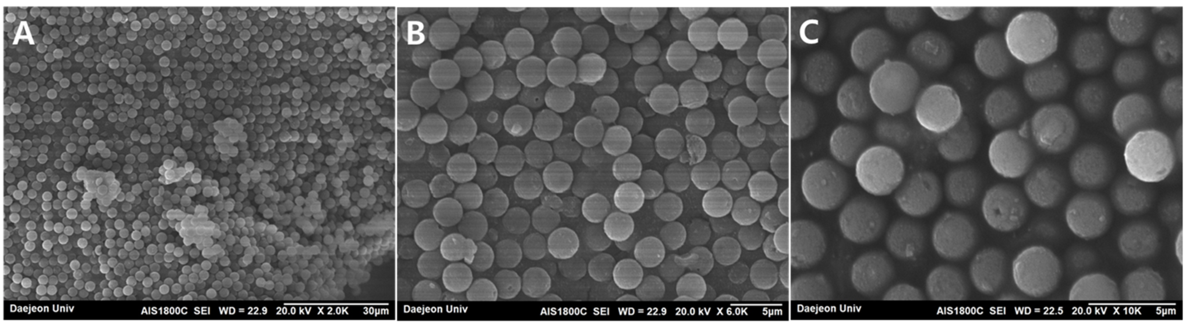 Coatings 12 00415 g005 550