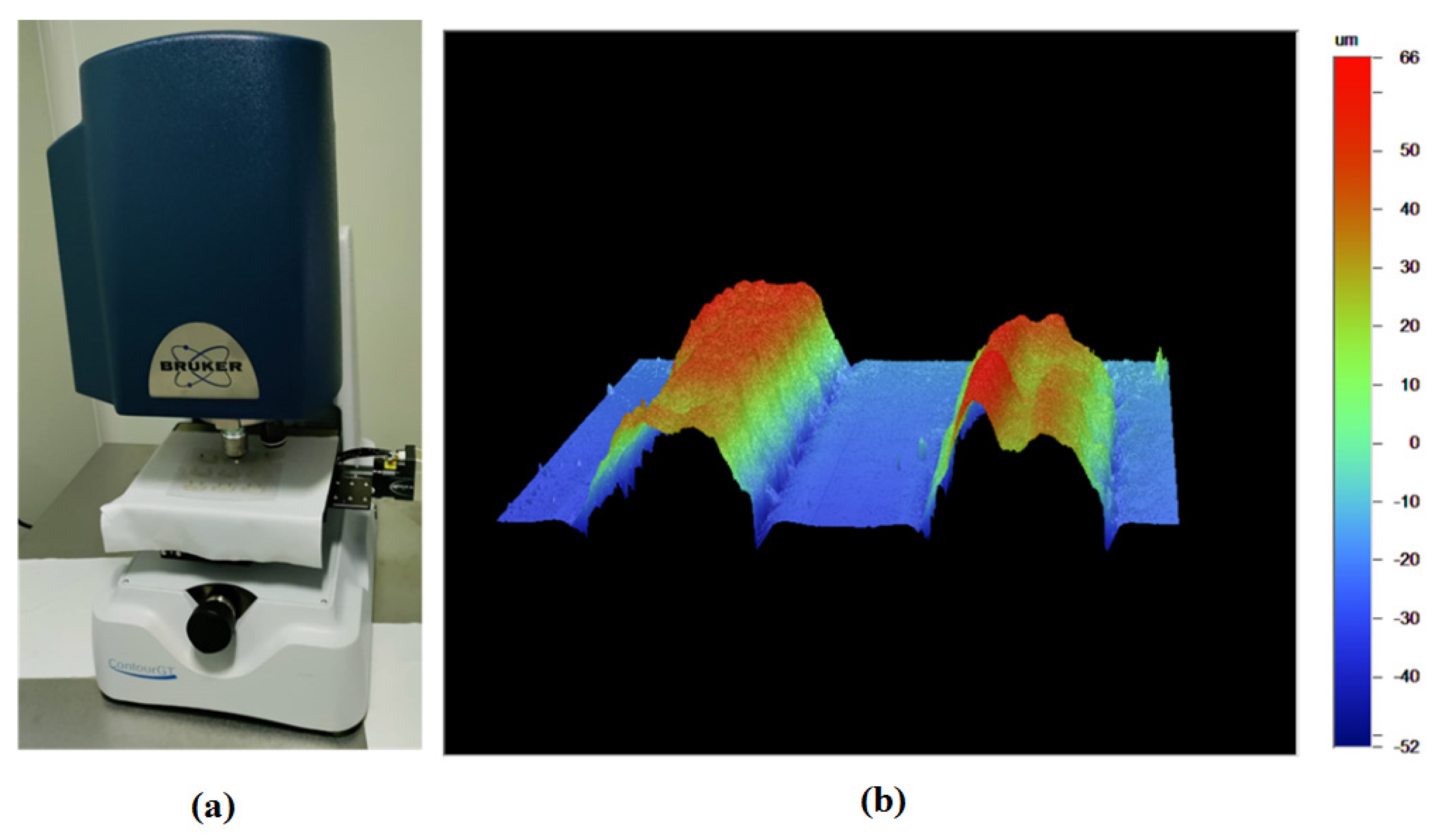Coatings 12 00416 g006