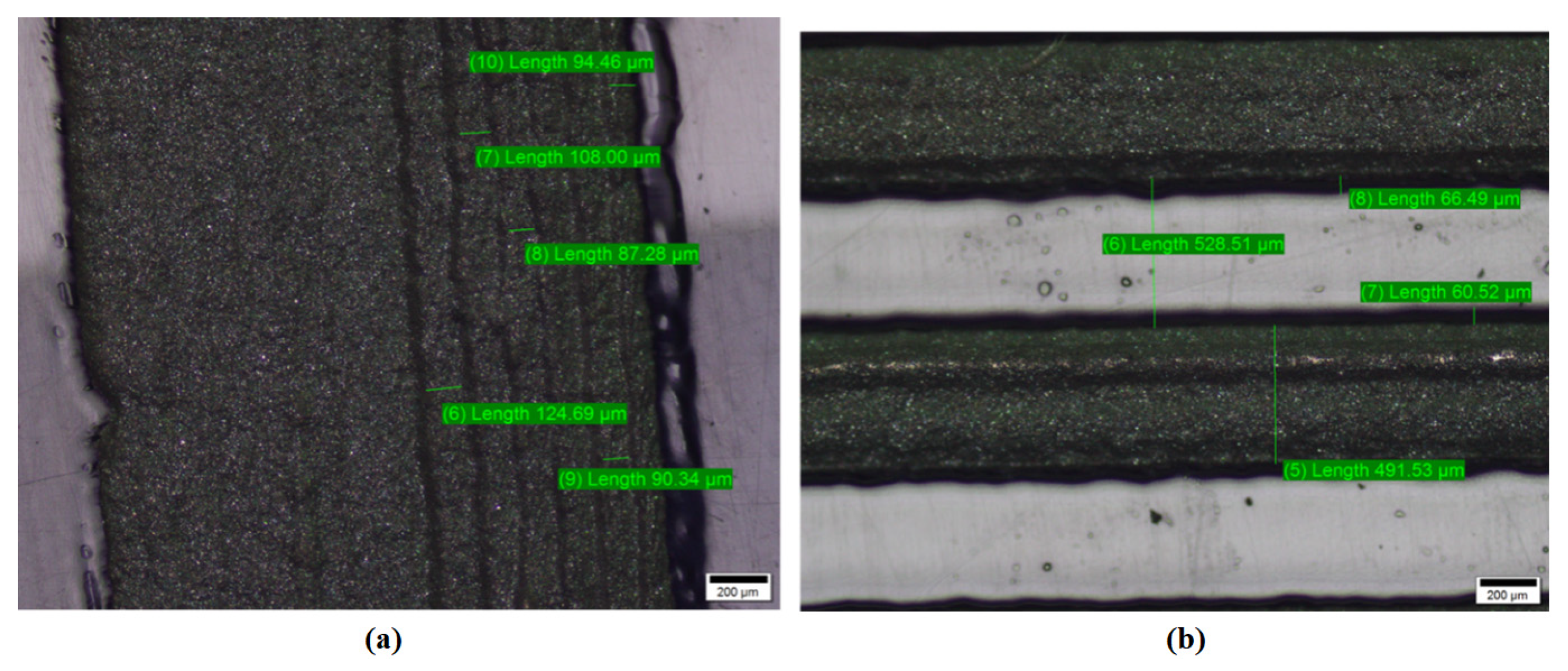 Coatings 12 00416 g008
