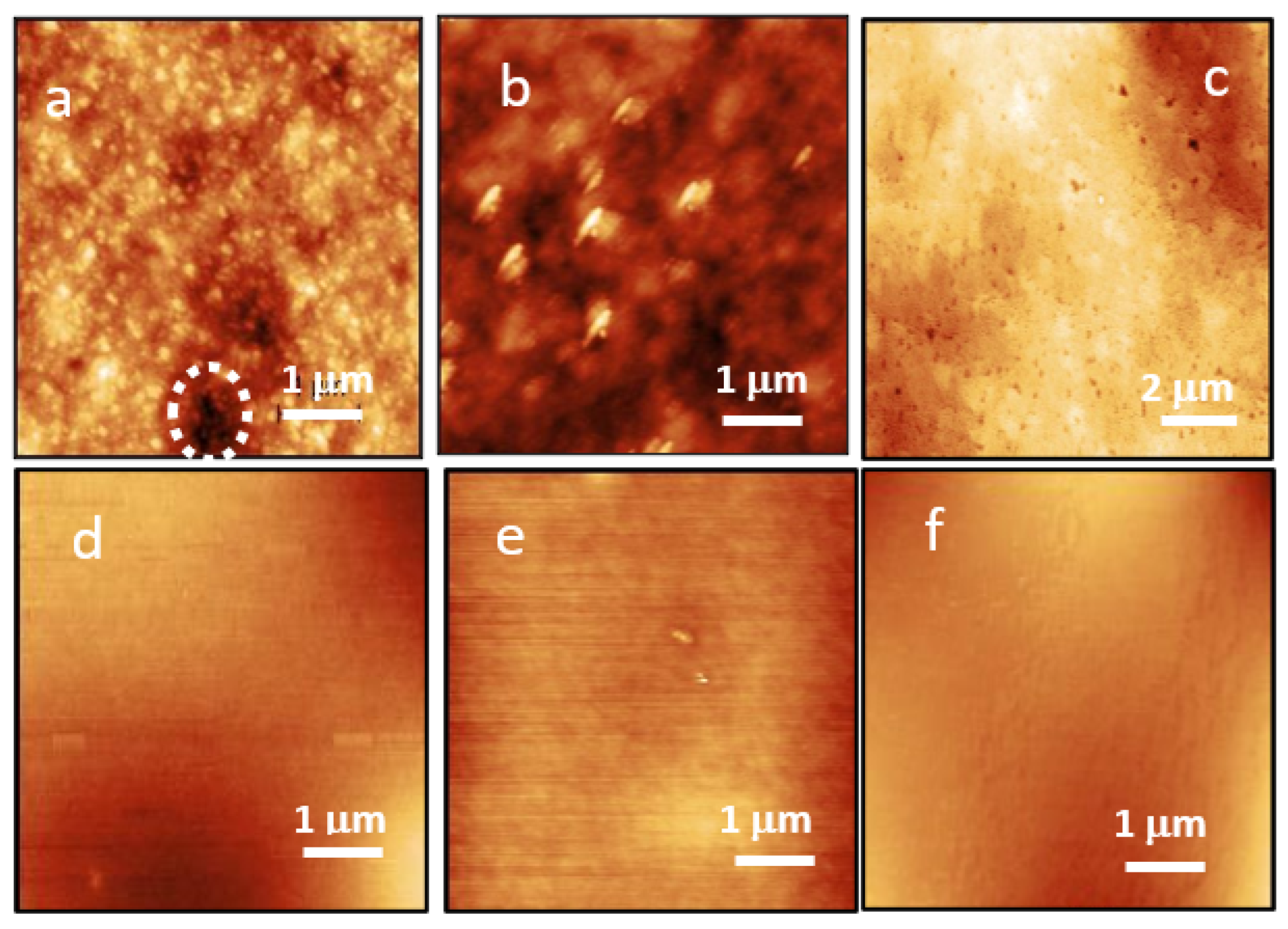 Coatings 12 00417 g003 550