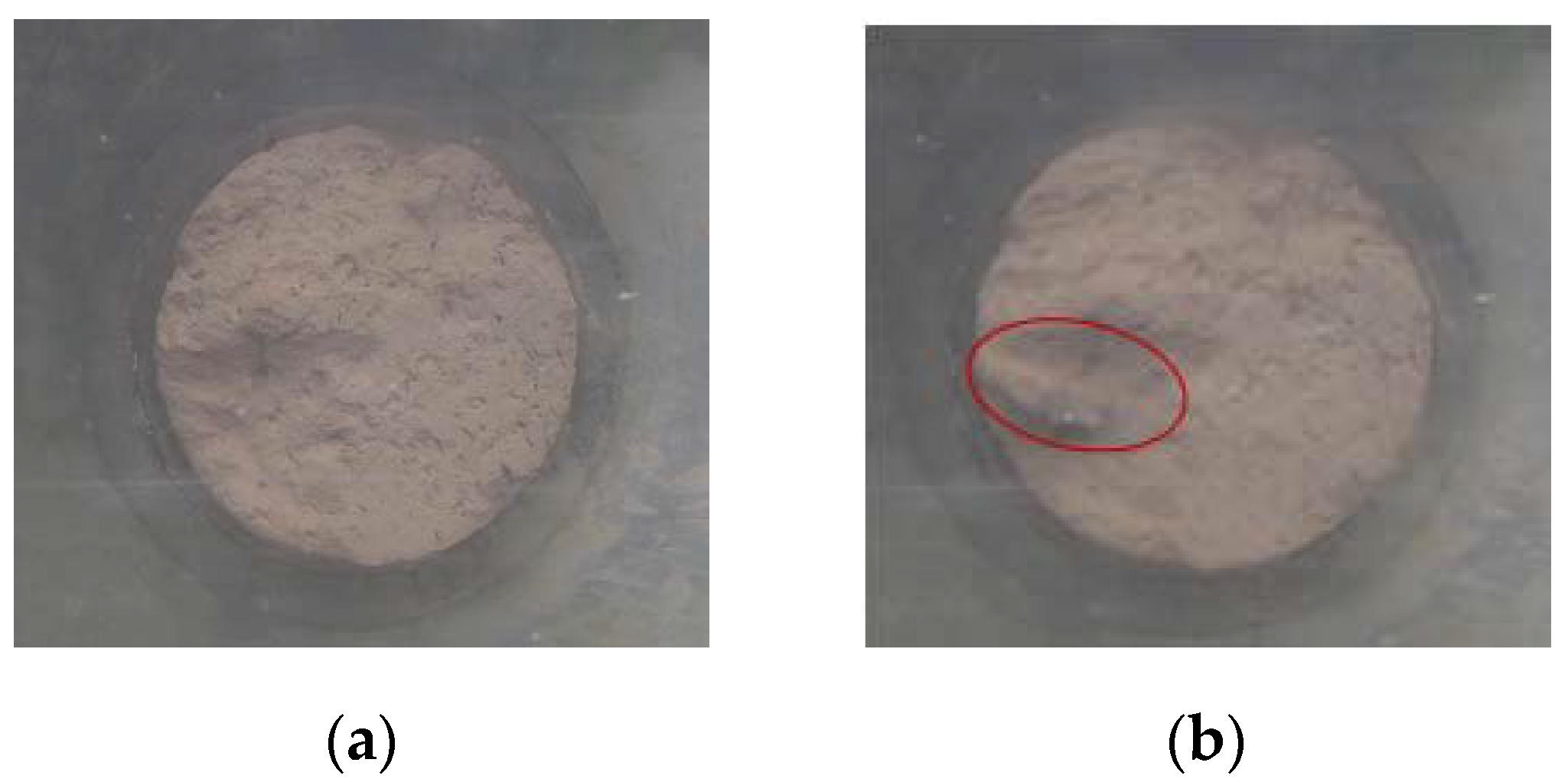 Coatings 12 00418 g008