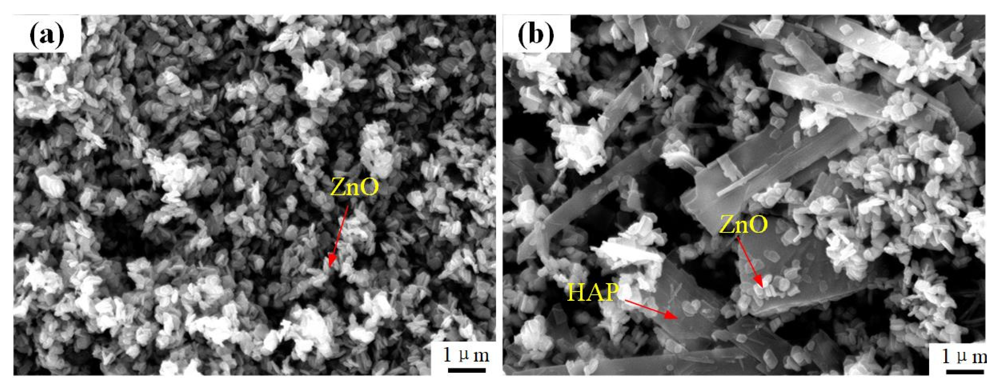 Coatings 12 00420 g004