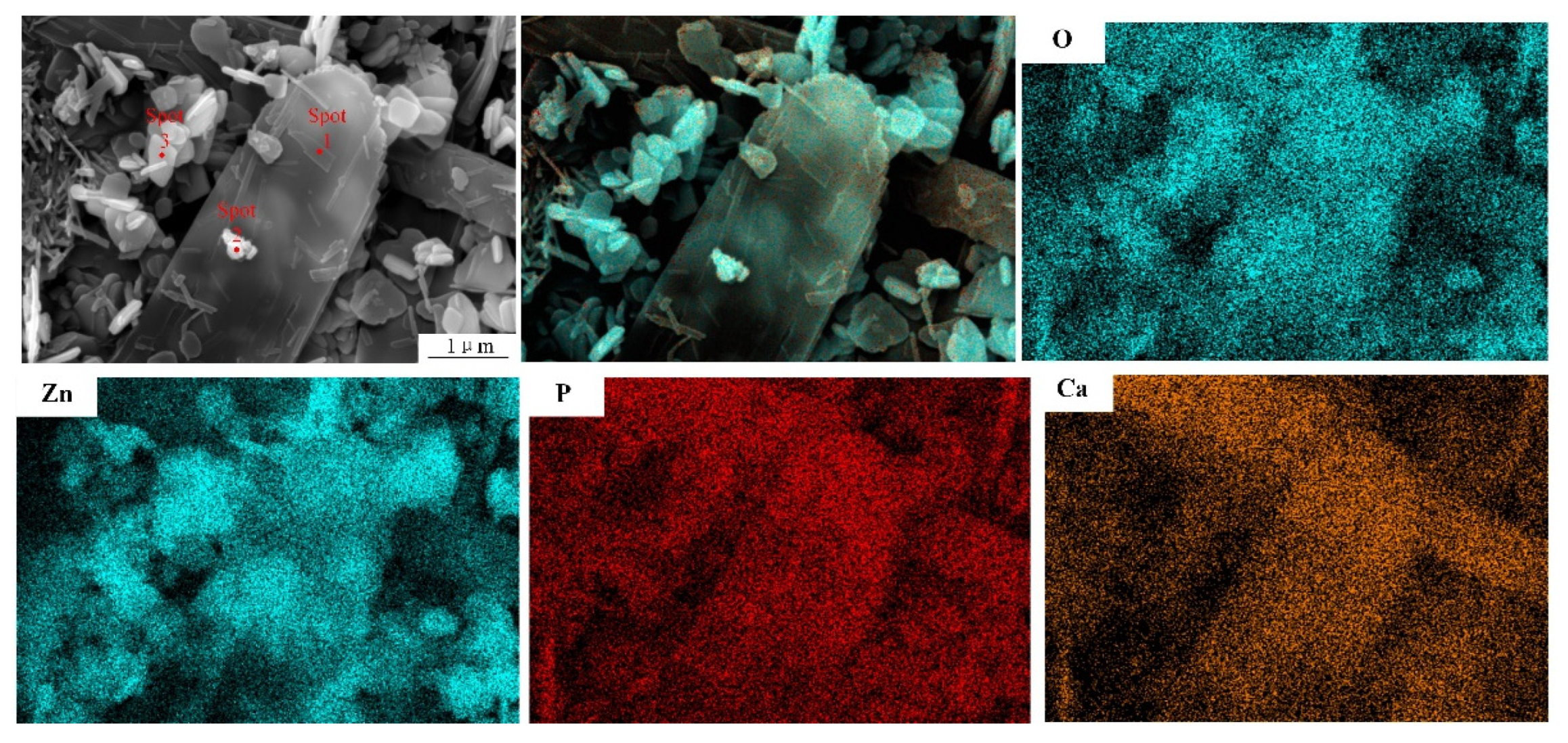 Coatings 12 00420 g005