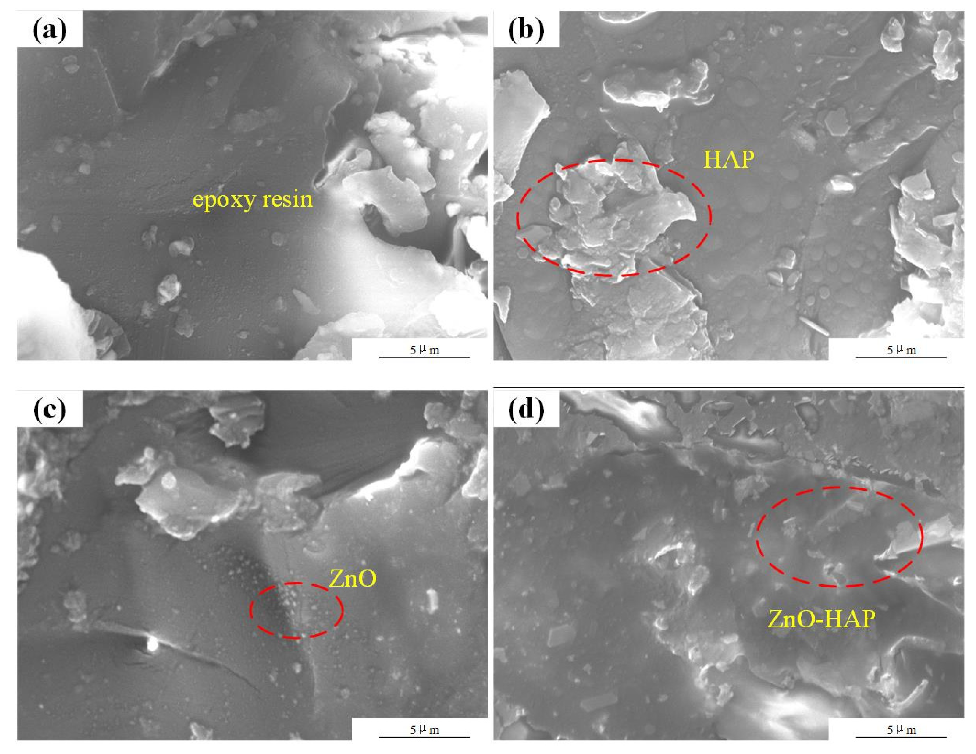 Coatings 12 00420 g007