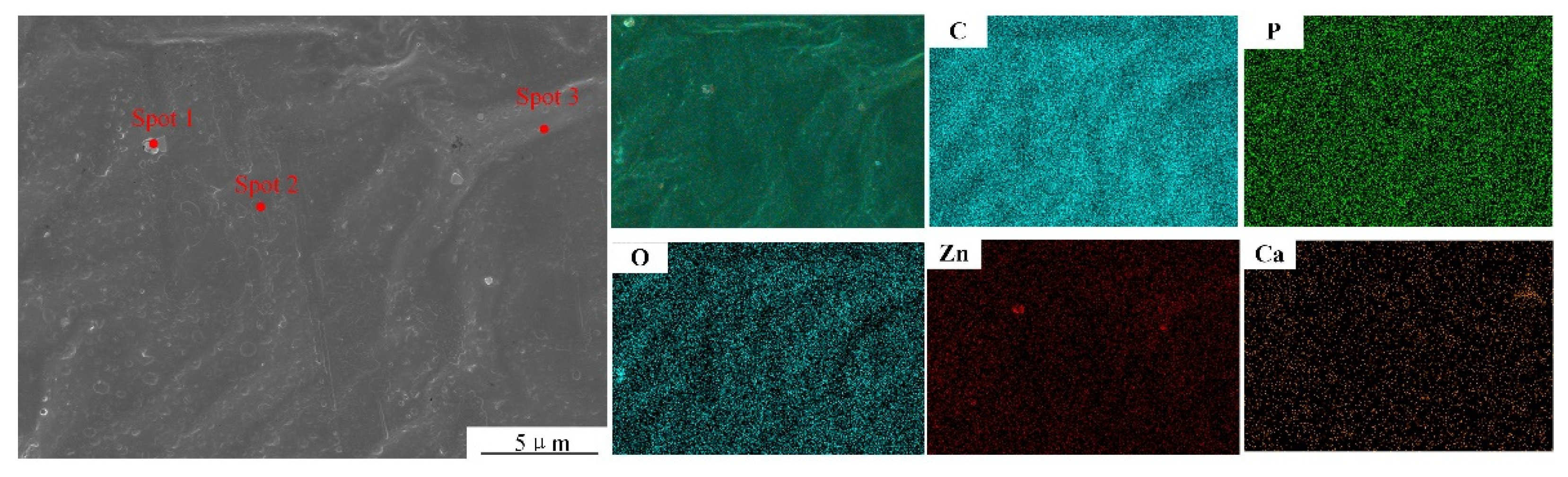 Coatings 12 00420 g008