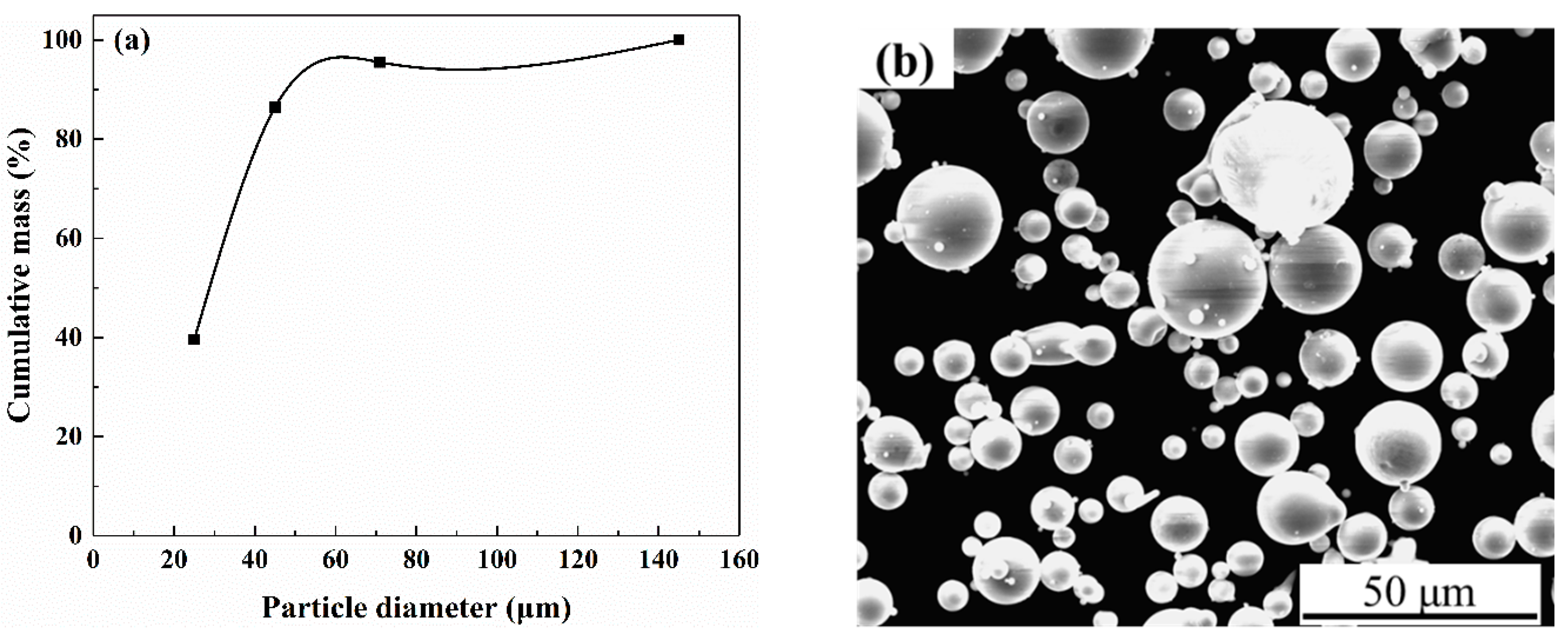 Coatings 12 00425 g001 550