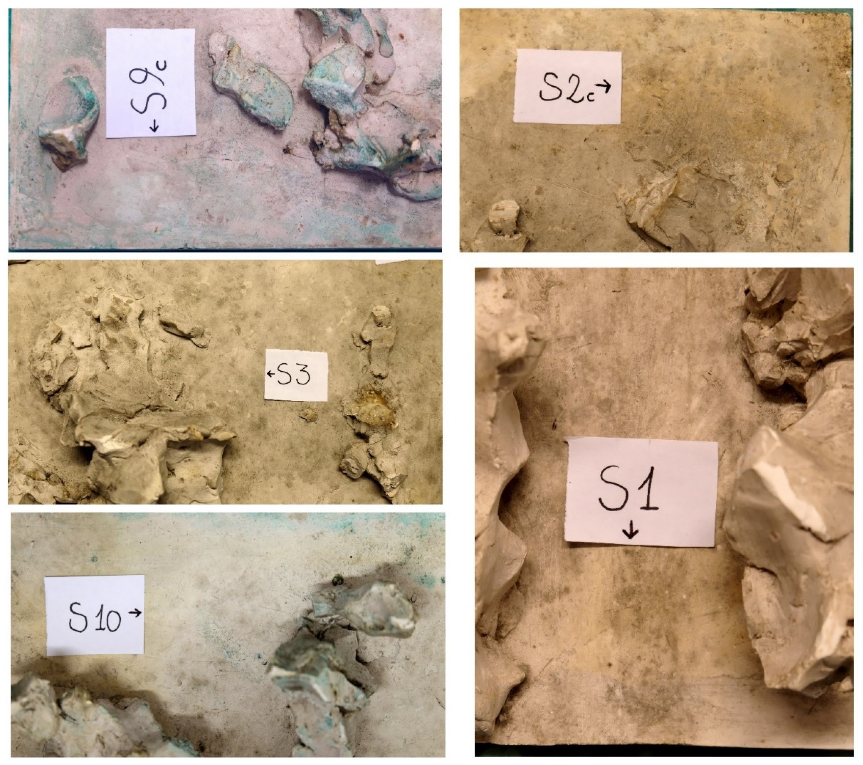 Coatings 12 00426 g002