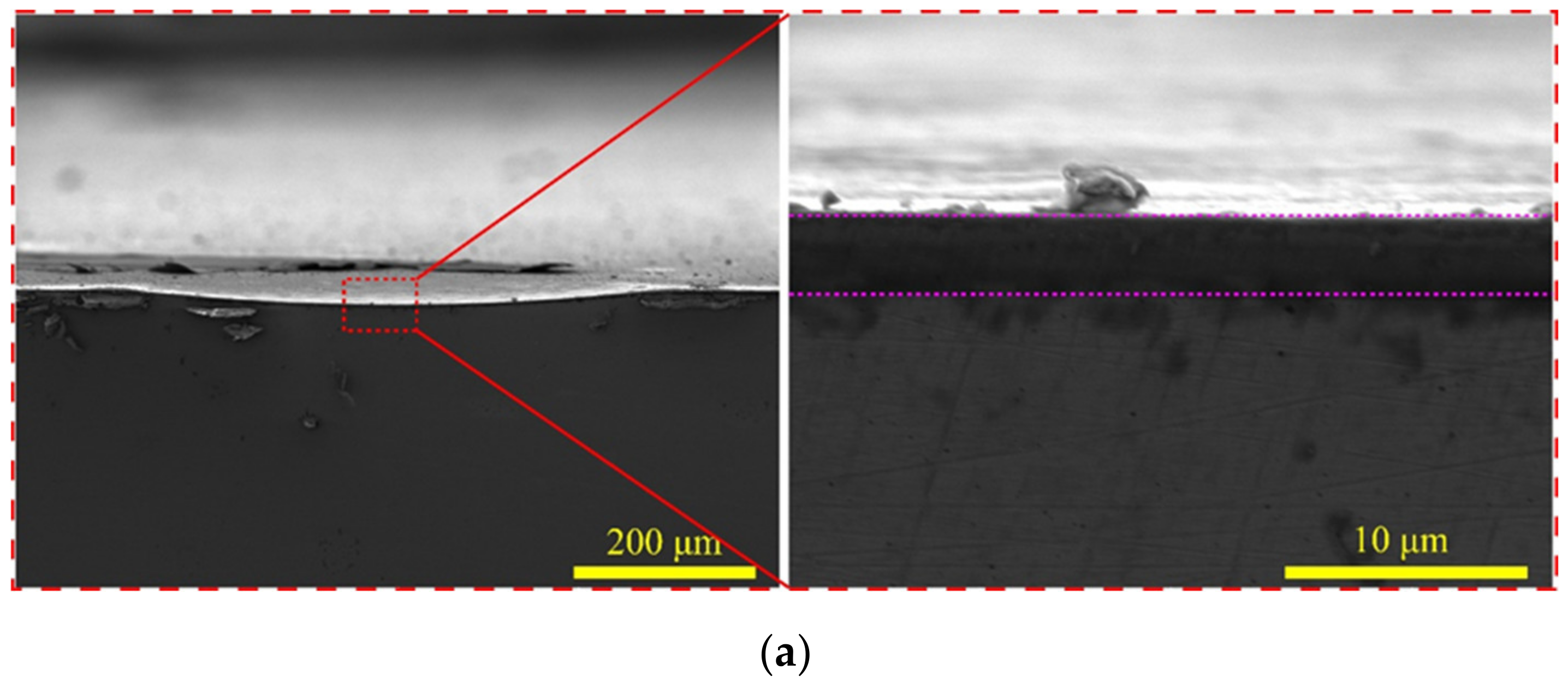 Coatings 12 00427 g013a