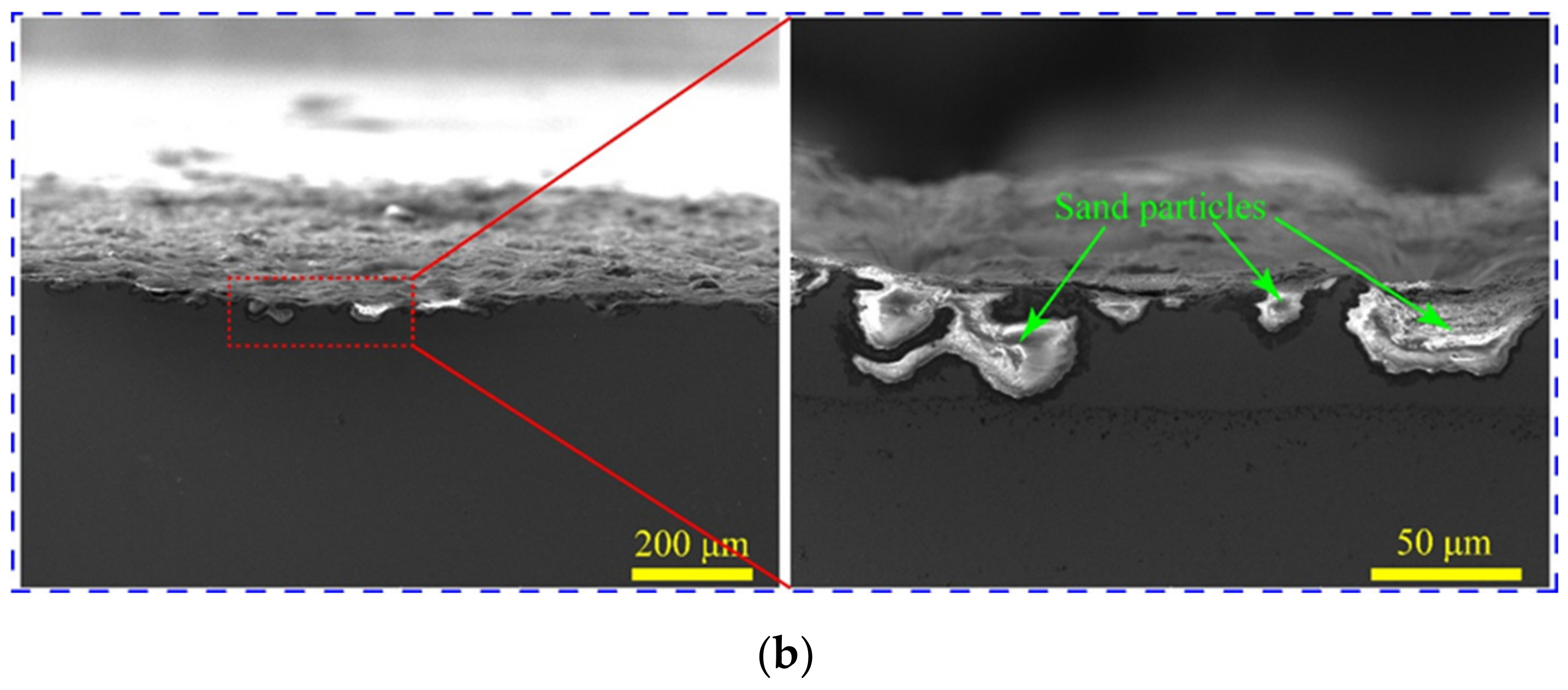 Coatings 12 00427 g013b