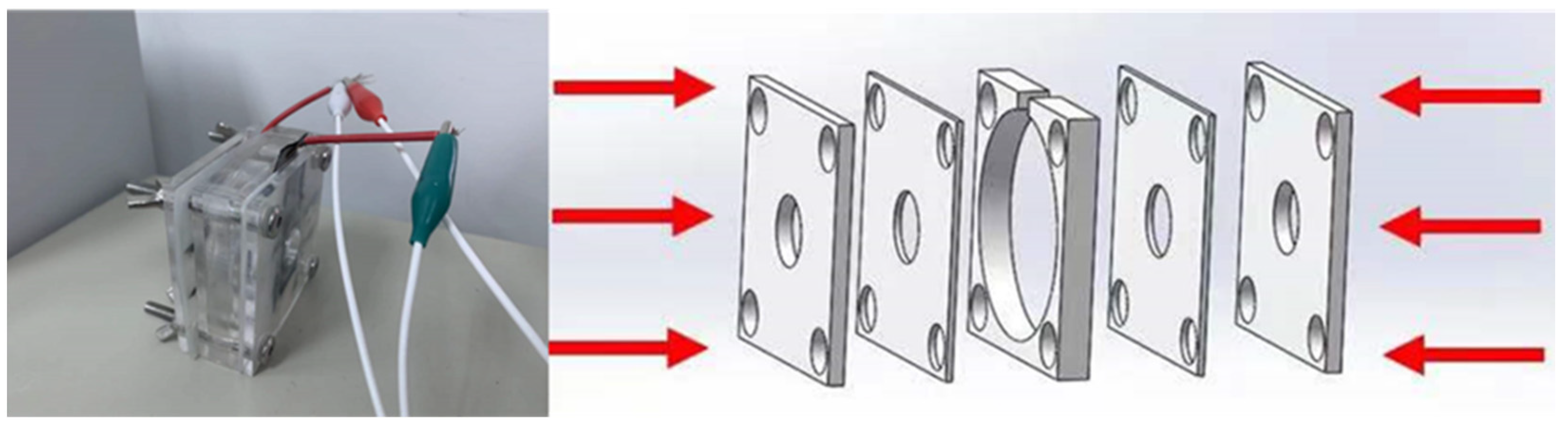 Coatings 12 00428 g001 550