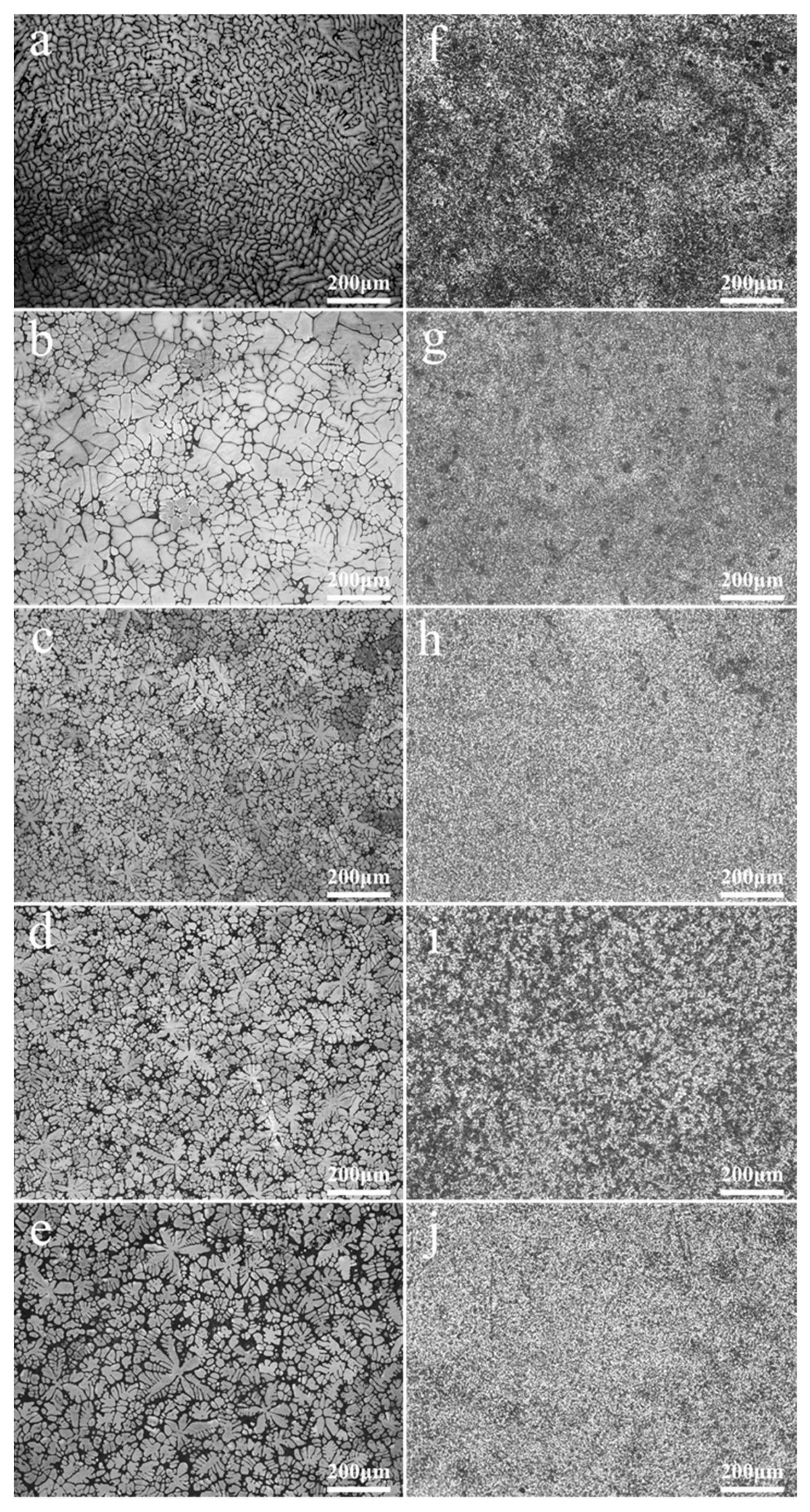Coatings 12 00428 g002 550