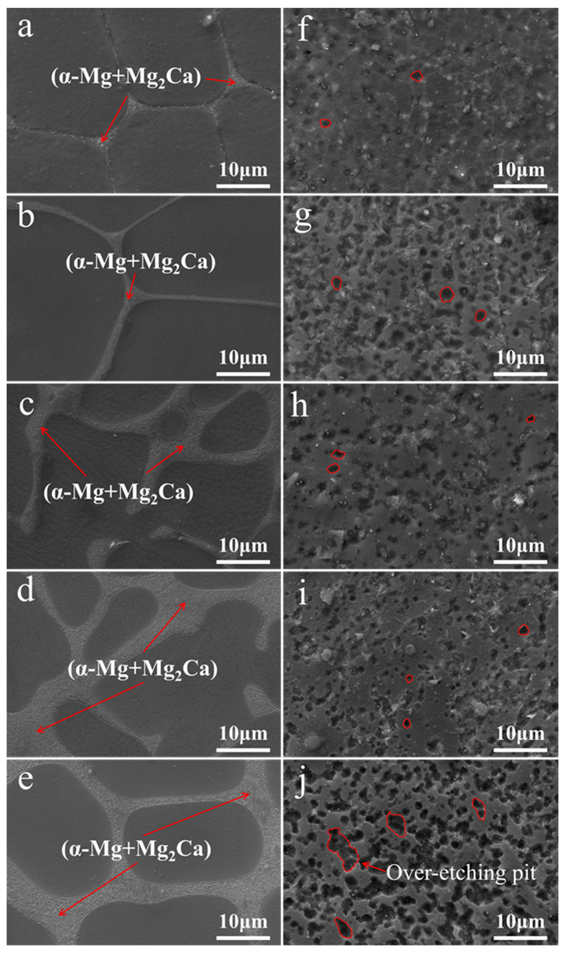 Coatings 12 00428 g003 550