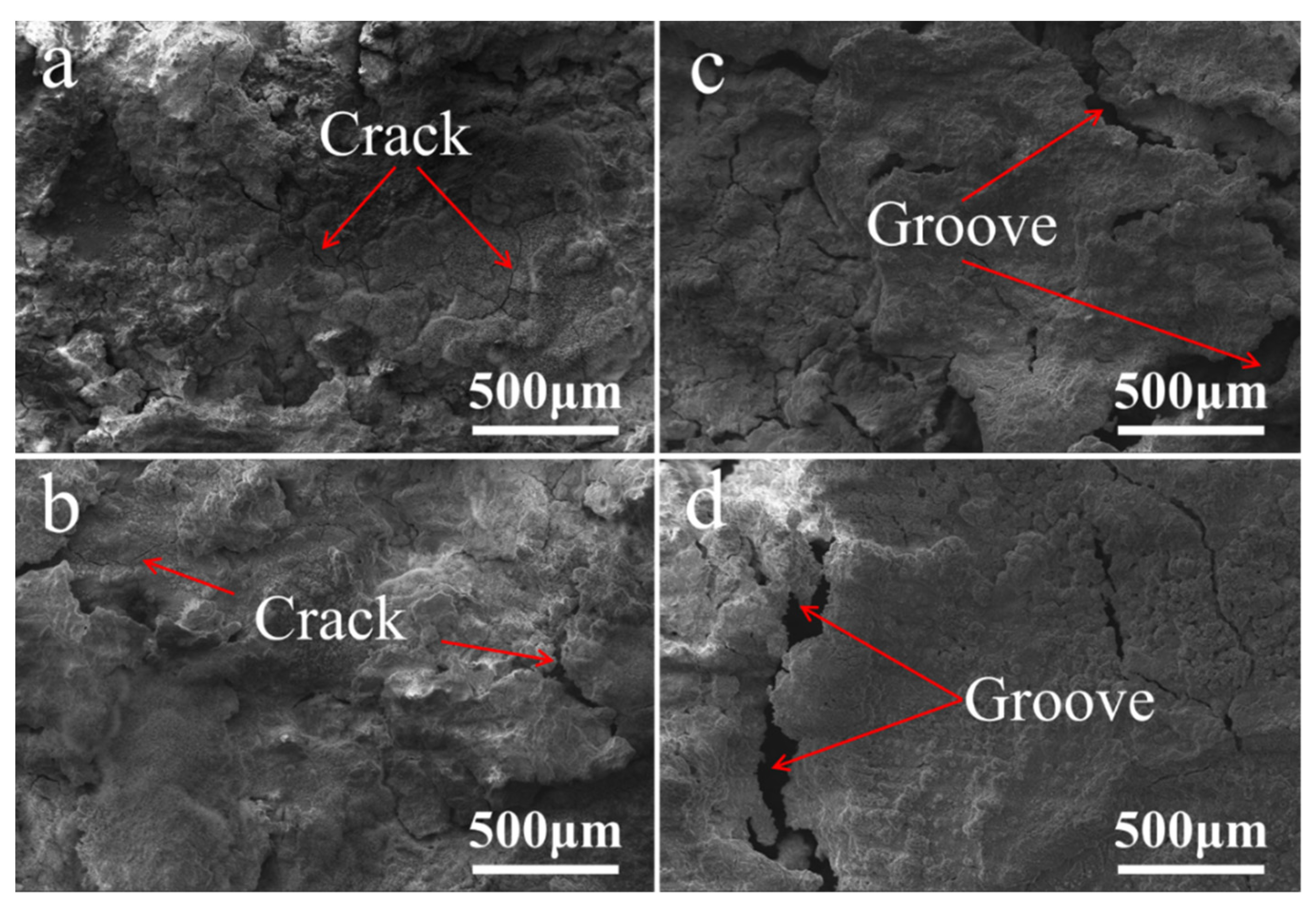 Coatings 12 00428 g005 550