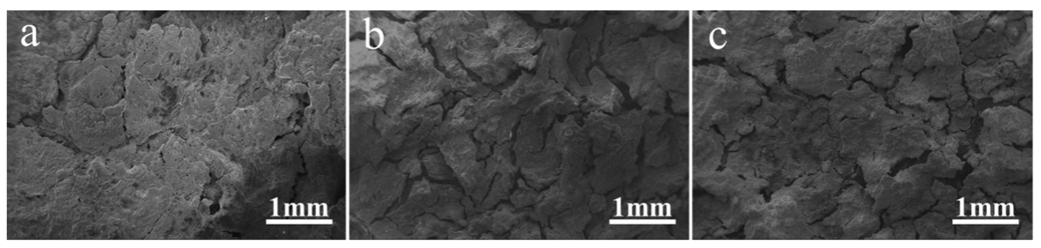 Coatings 12 00428 g007 550