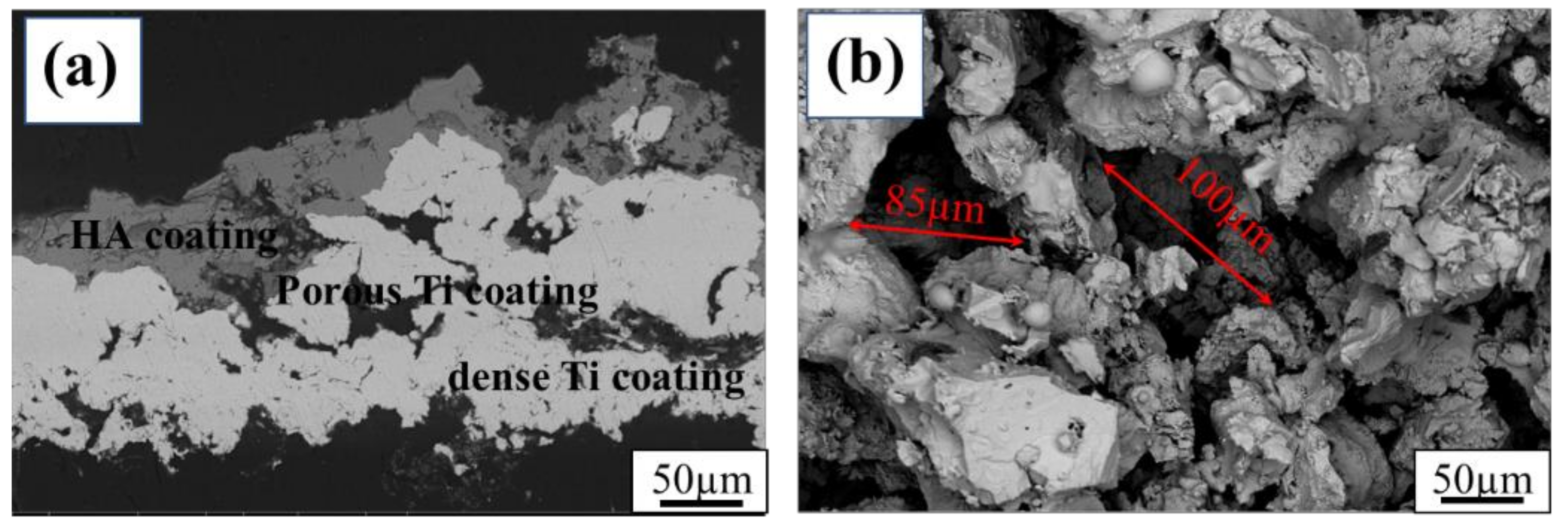 Coatings 12 00433 g002 Coatings 12 00433 g002