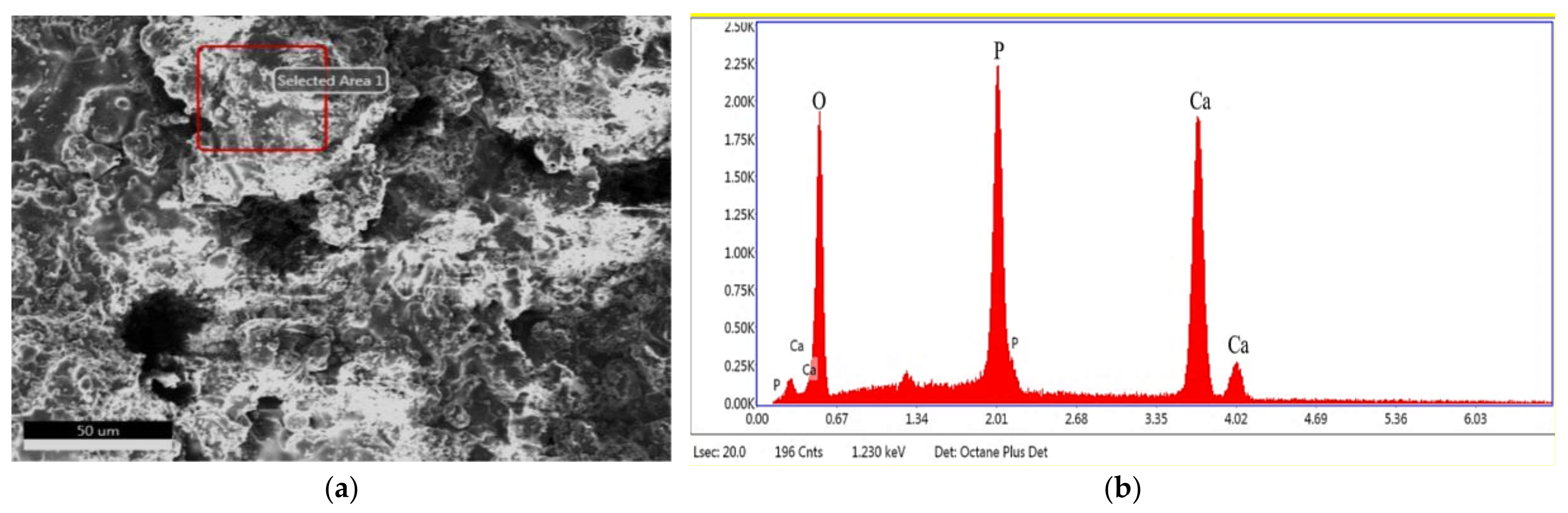 Coatings 12 00433 g008 Coatings 12 00433 g008