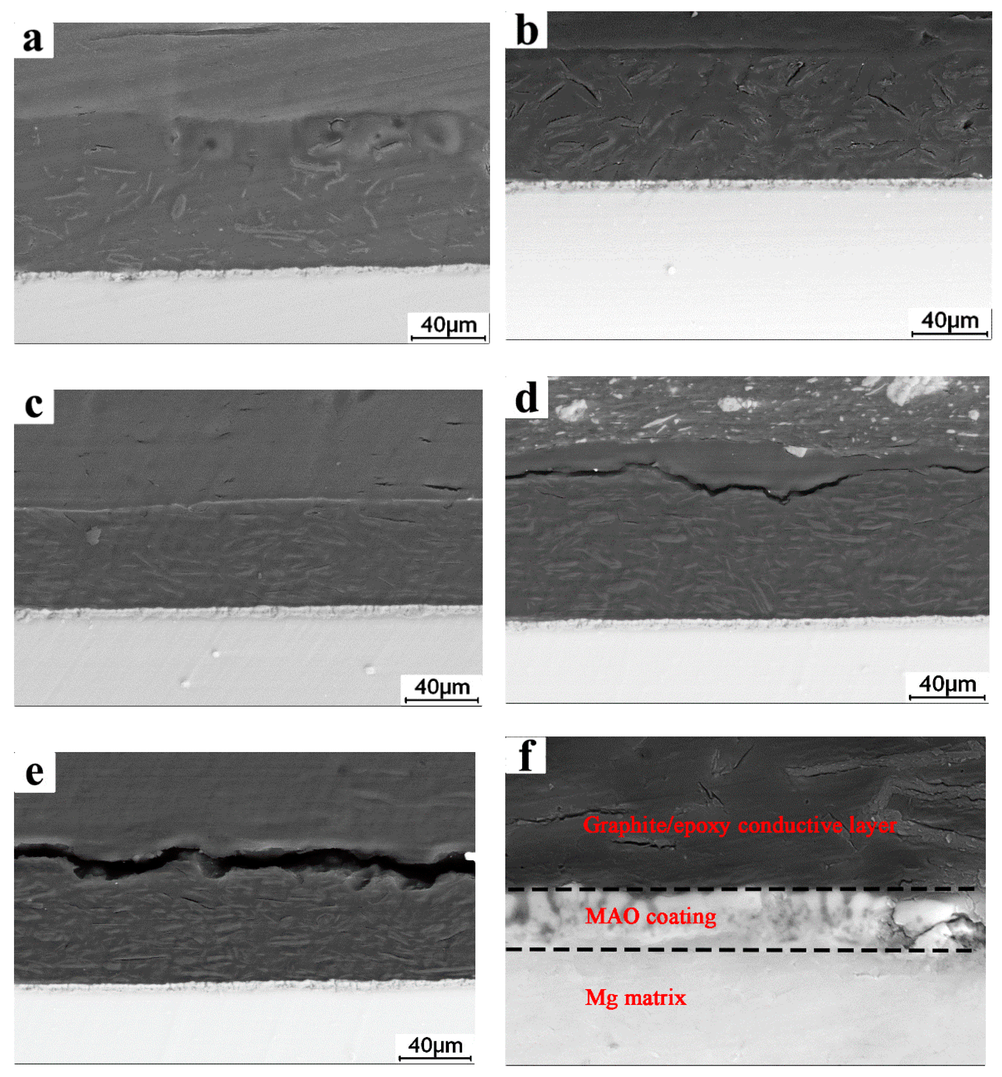 Coatings 12 00434 g003