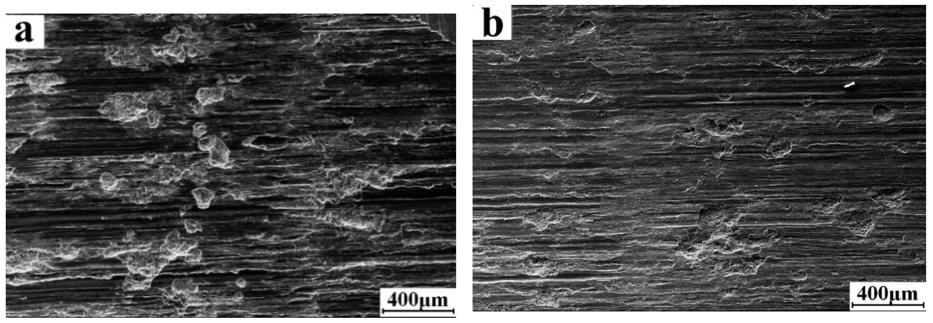 Coatings 12 00434 g006a