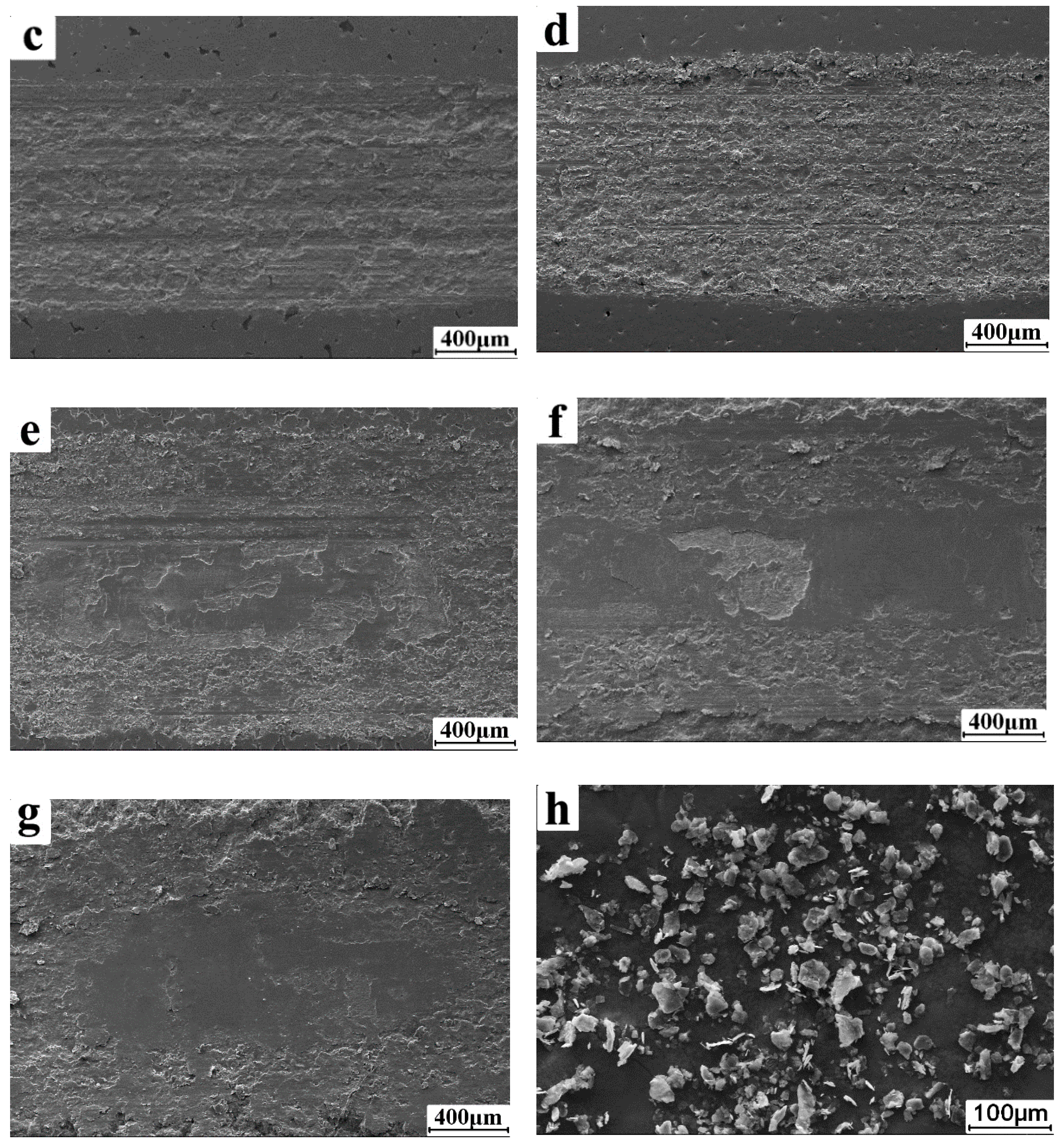 Coatings 12 00434 g006b