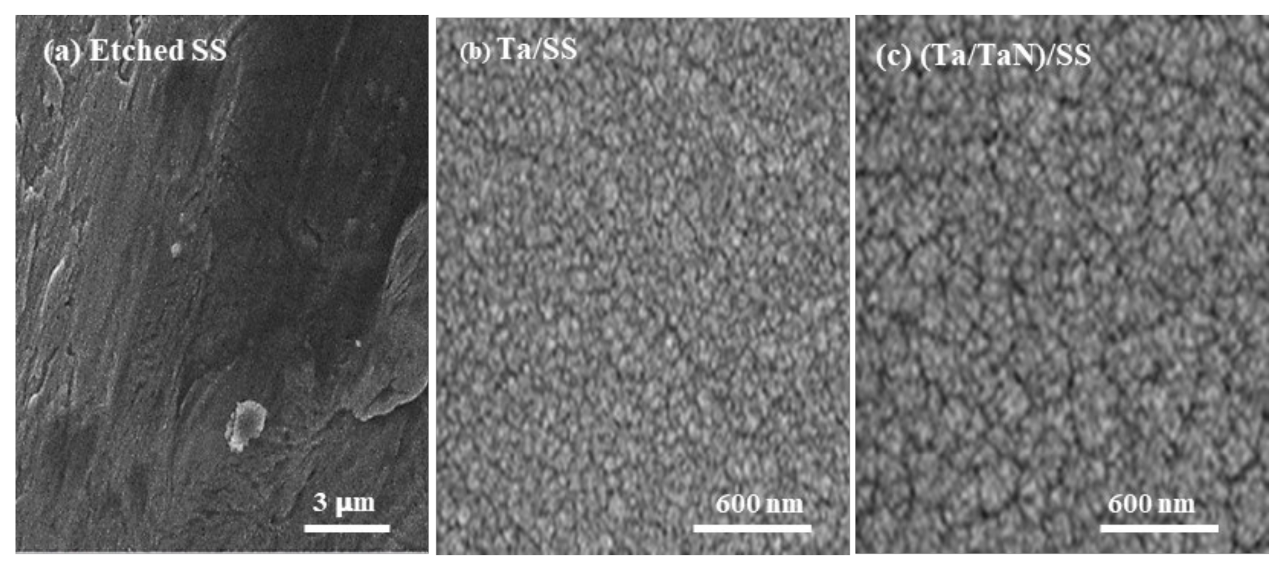 Coatings 12 00440 g005 Coatings 12 00440 g005