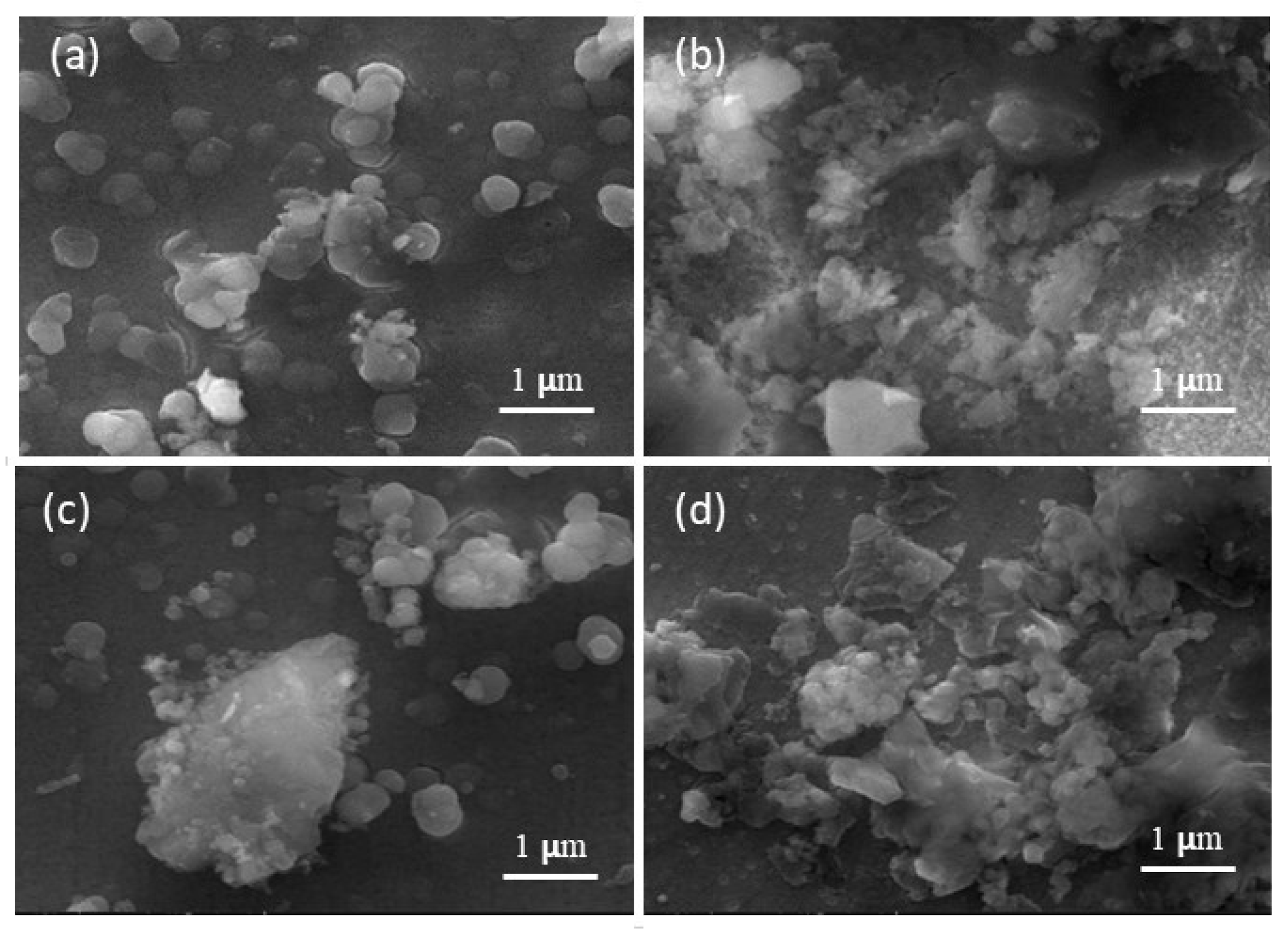 Coatings 12 00440 g010 Coatings 12 00440 g010