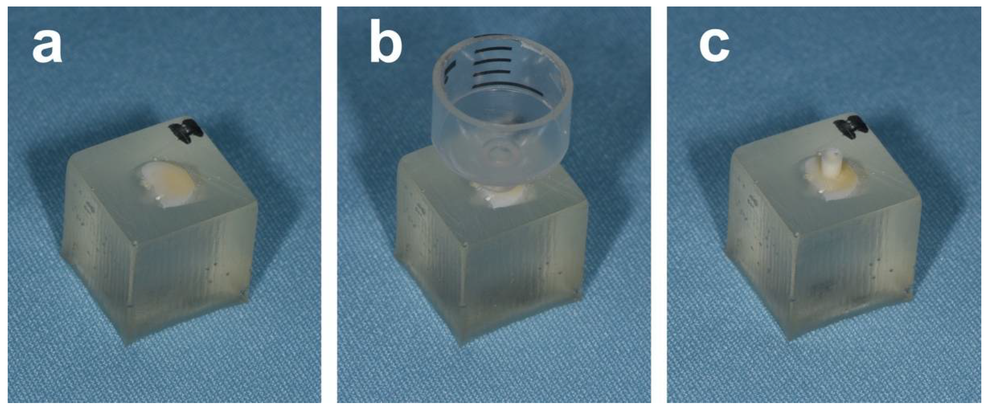 Coatings 12 00441 g002