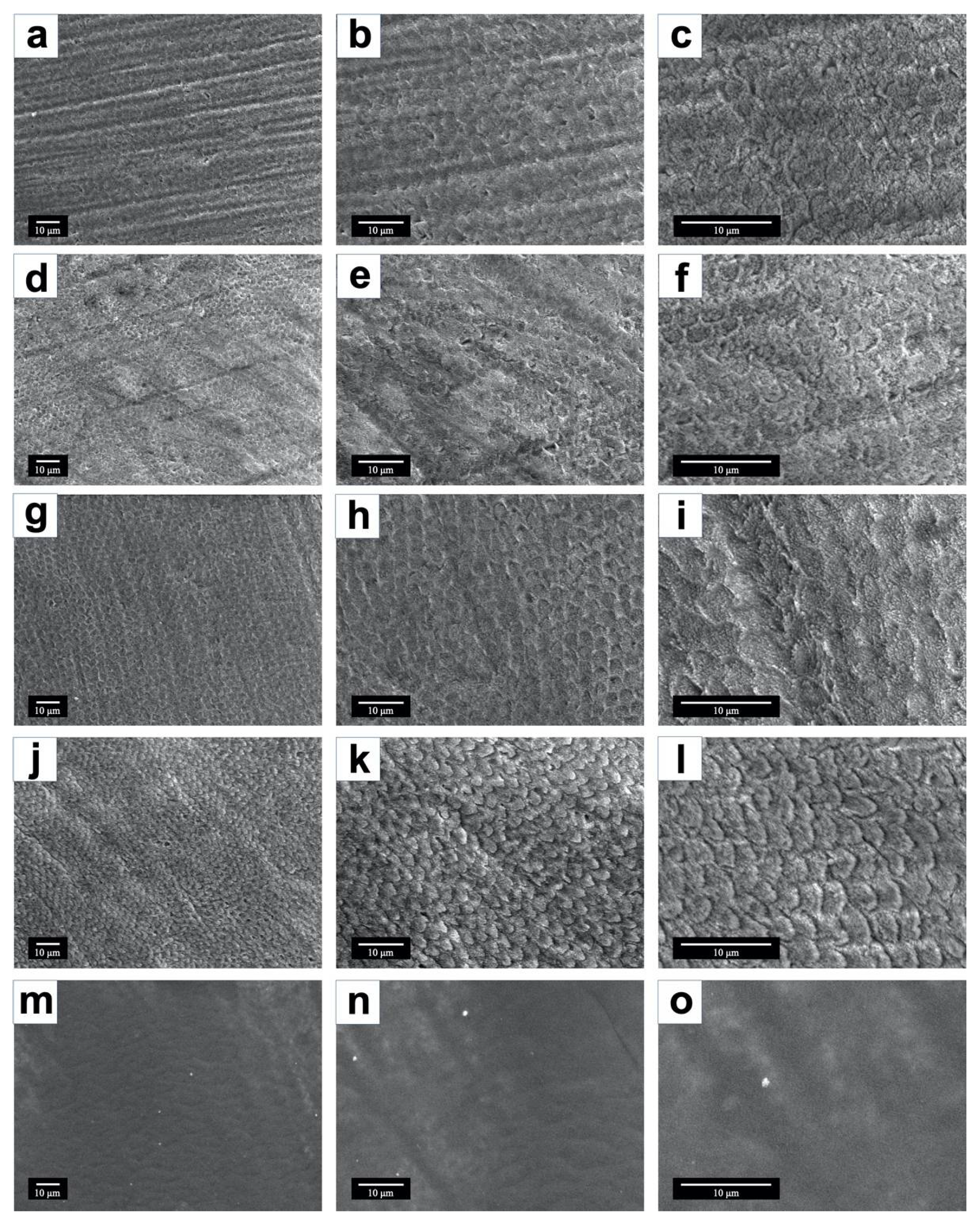 Coatings 12 00441 g007