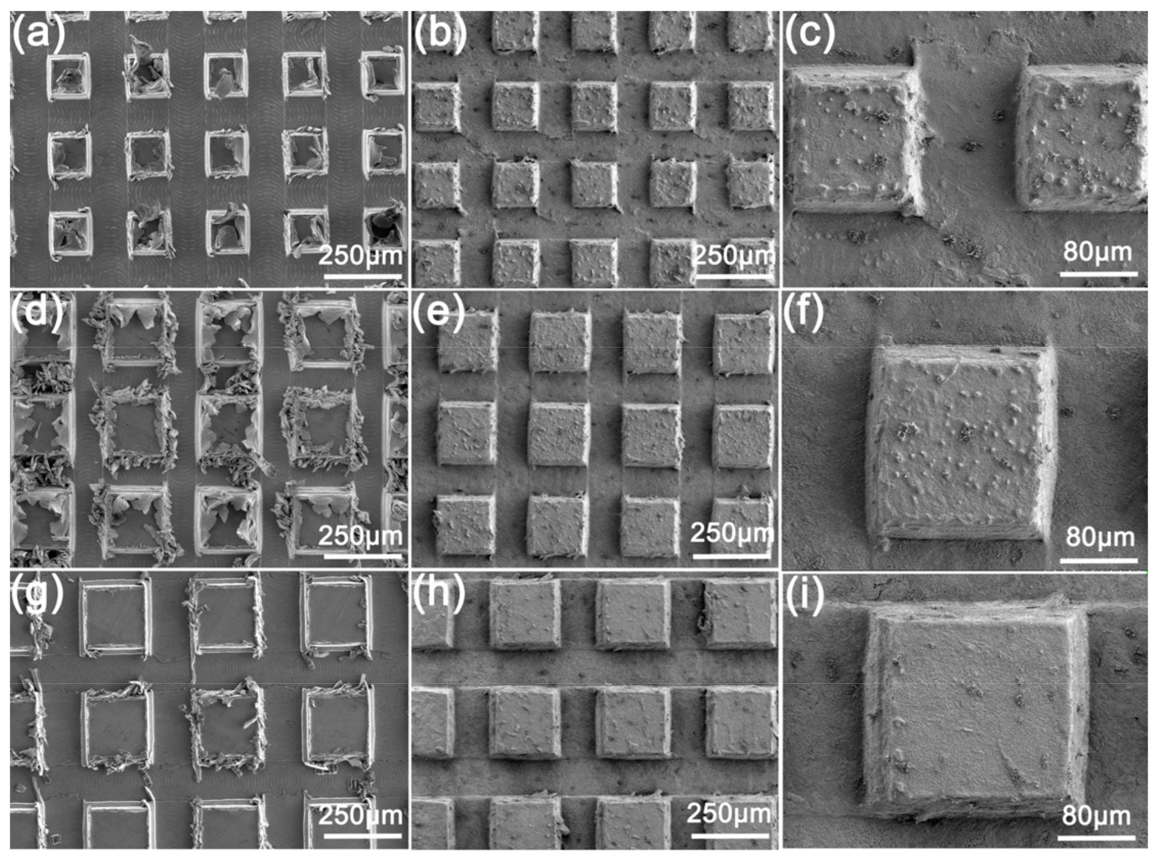 Coatings 12 00442 g002