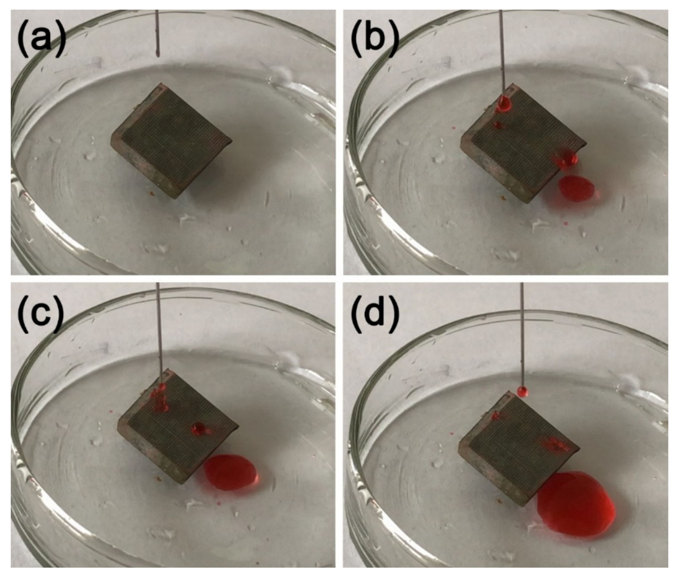 Coatings 12 00442 g011