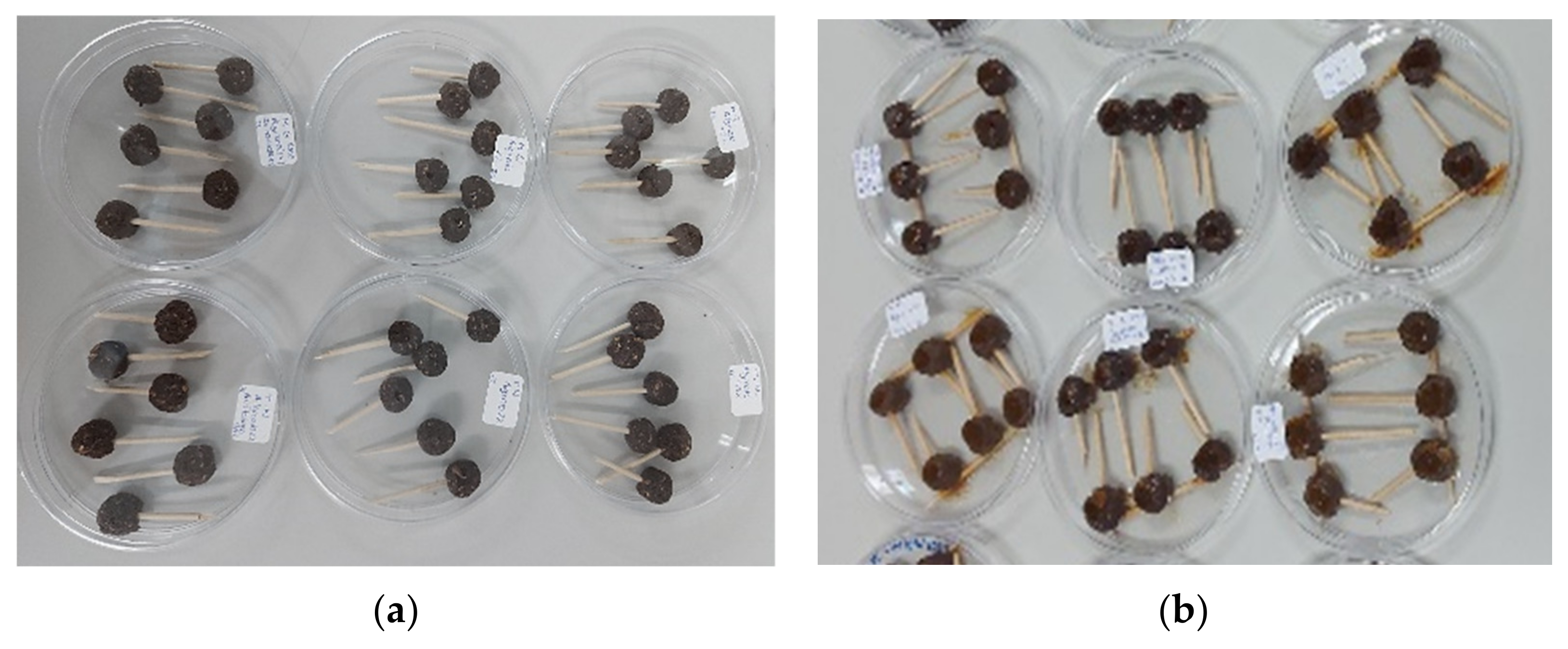 Coatings 12 00443 g001 Coatings 12 00443 g001