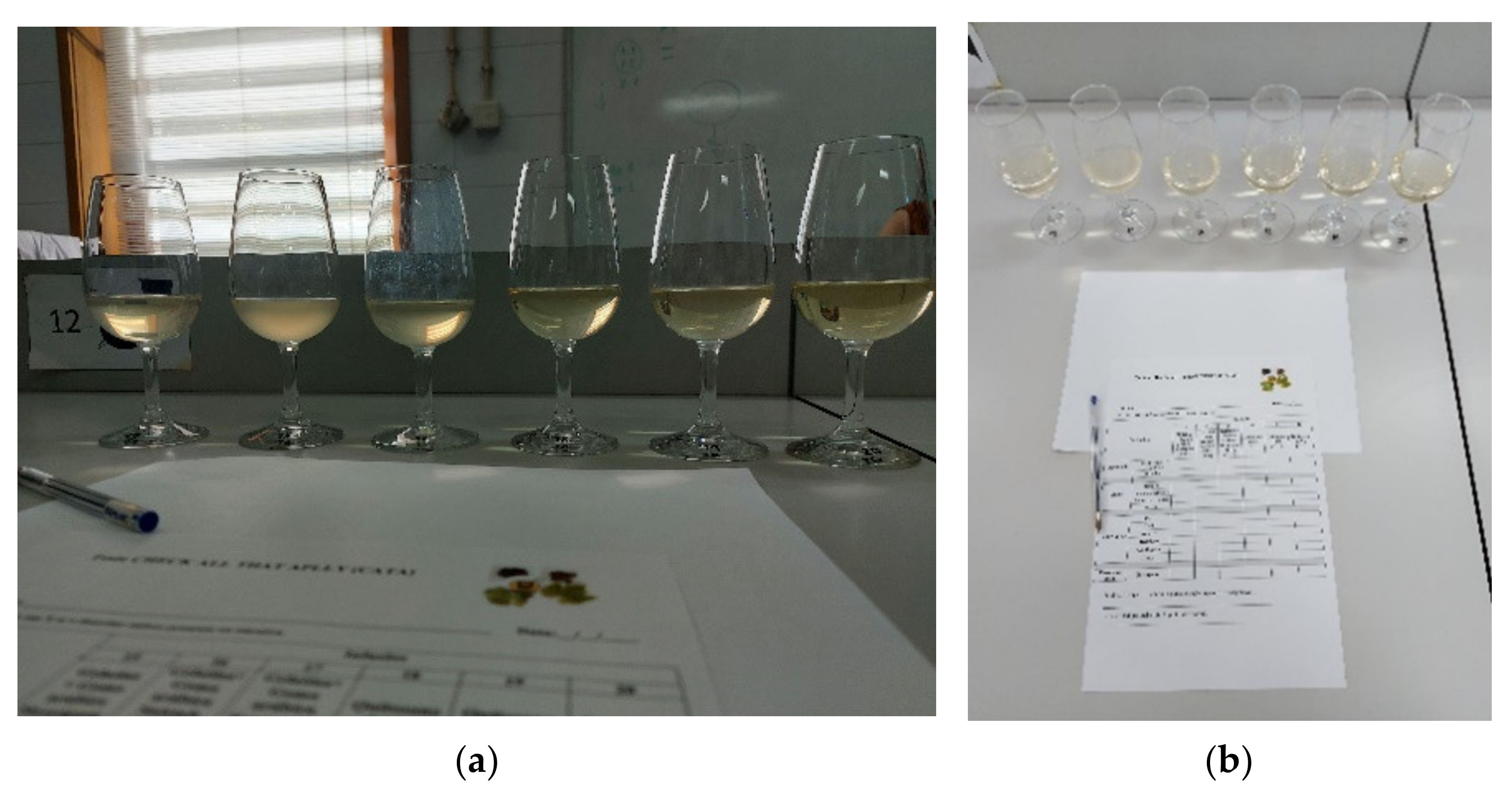Coatings 12 00443 g002 Coatings 12 00443 g002