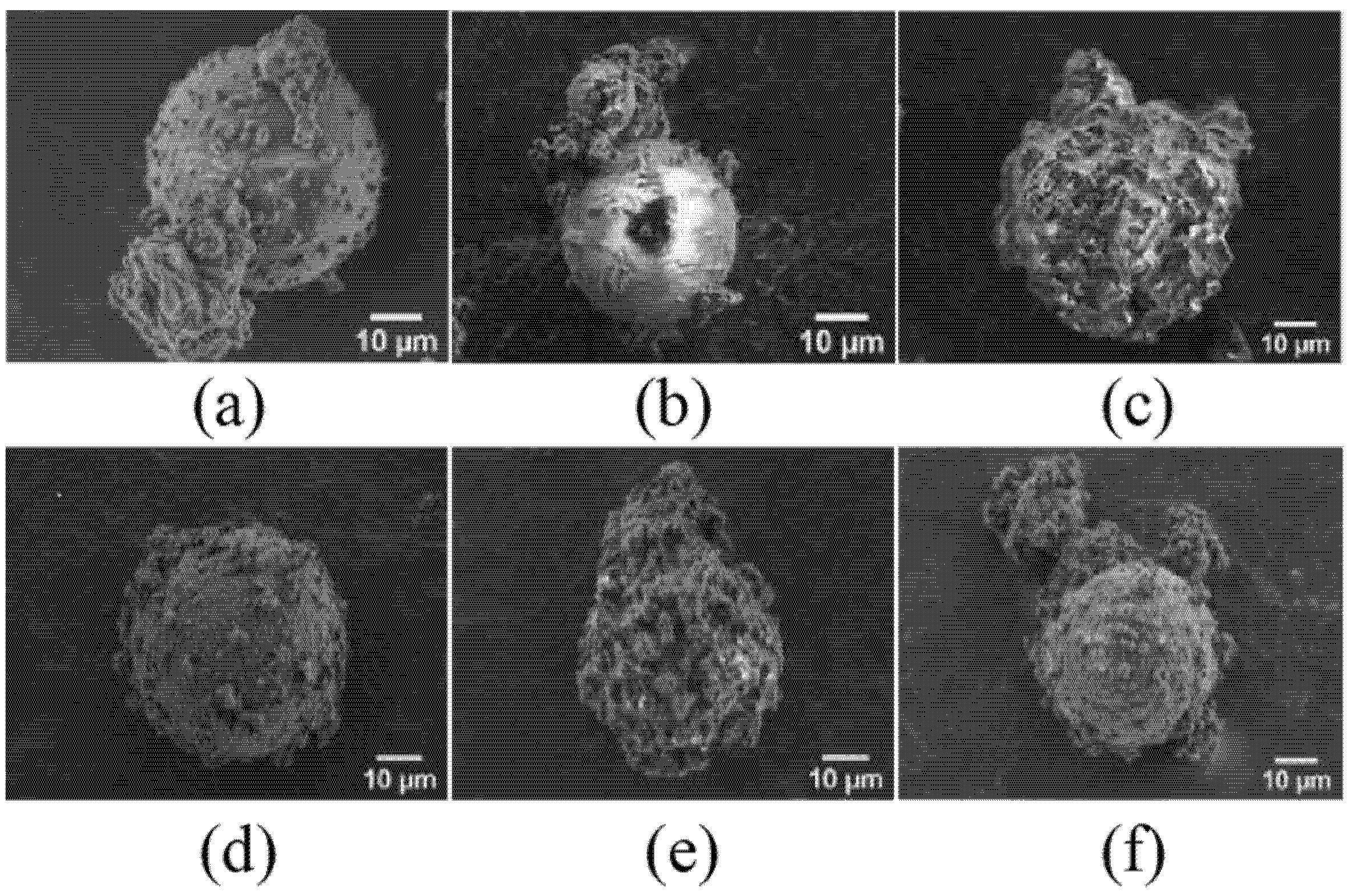 Coatings 12 00447 g002