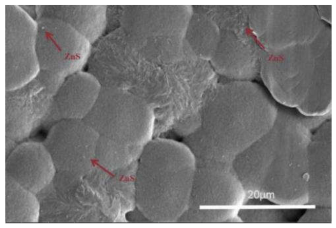 Coatings 12 00449 g002