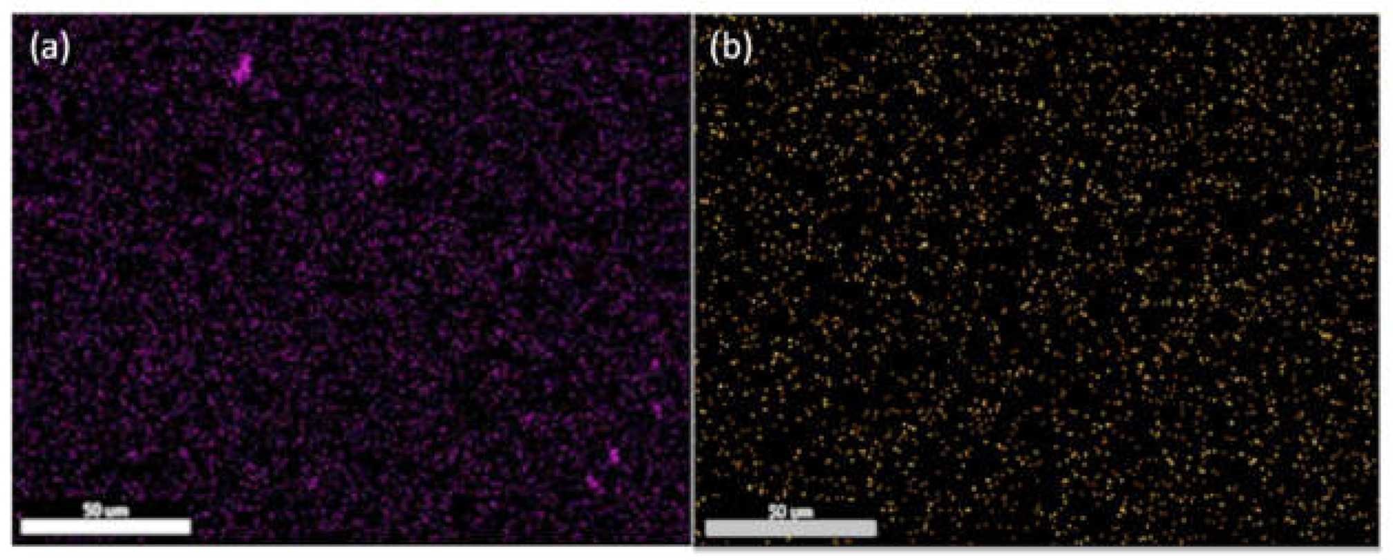Coatings 12 00449 g003