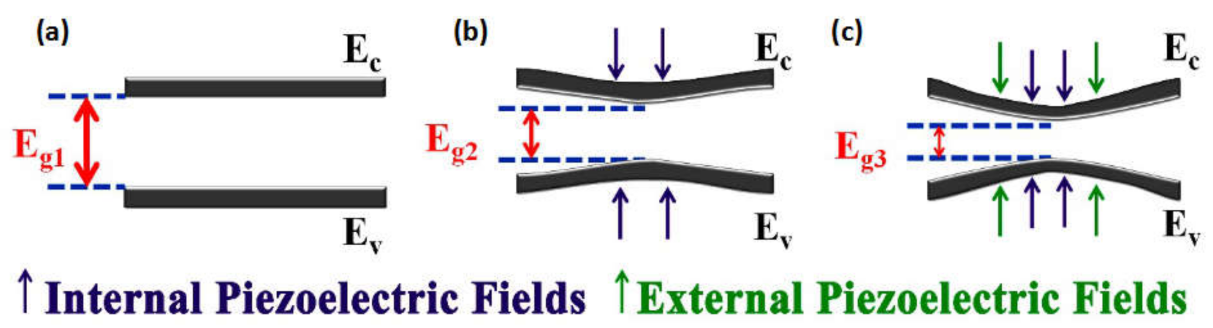 Coatings 12 00449 g008