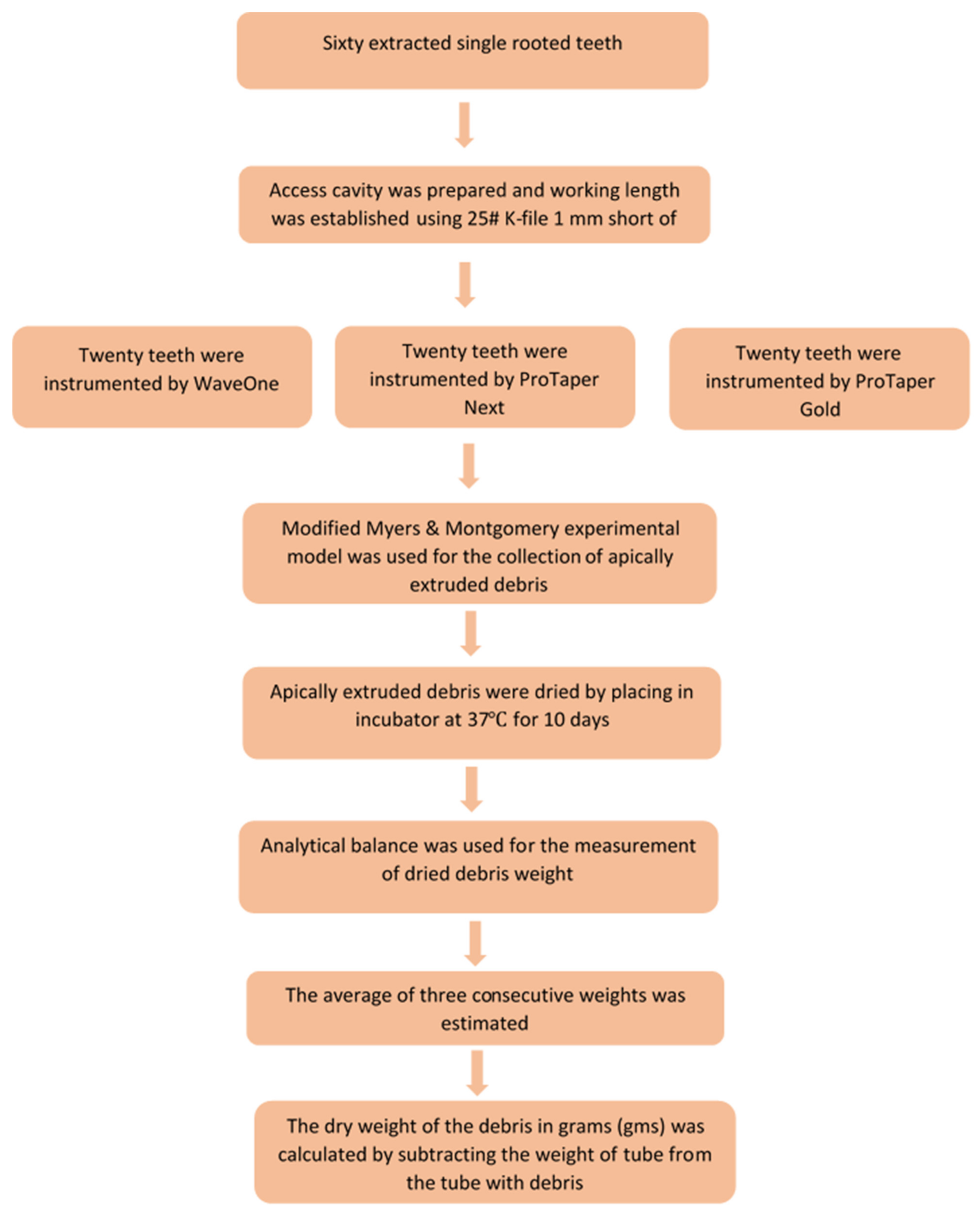 Coatings 12 00451 g004 Coatings 12 00451 g004