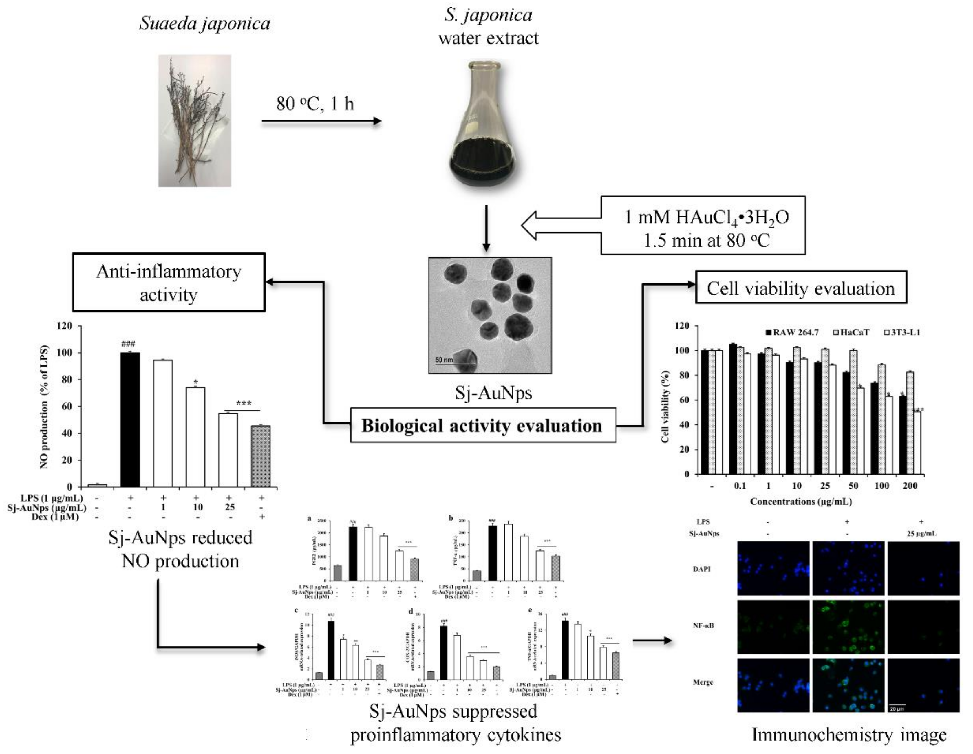 Coatings 12 00460 g001